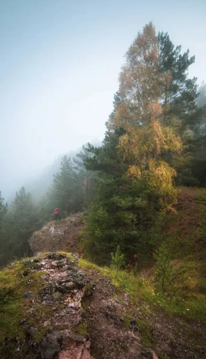 Панорама речной излучины, фото 5