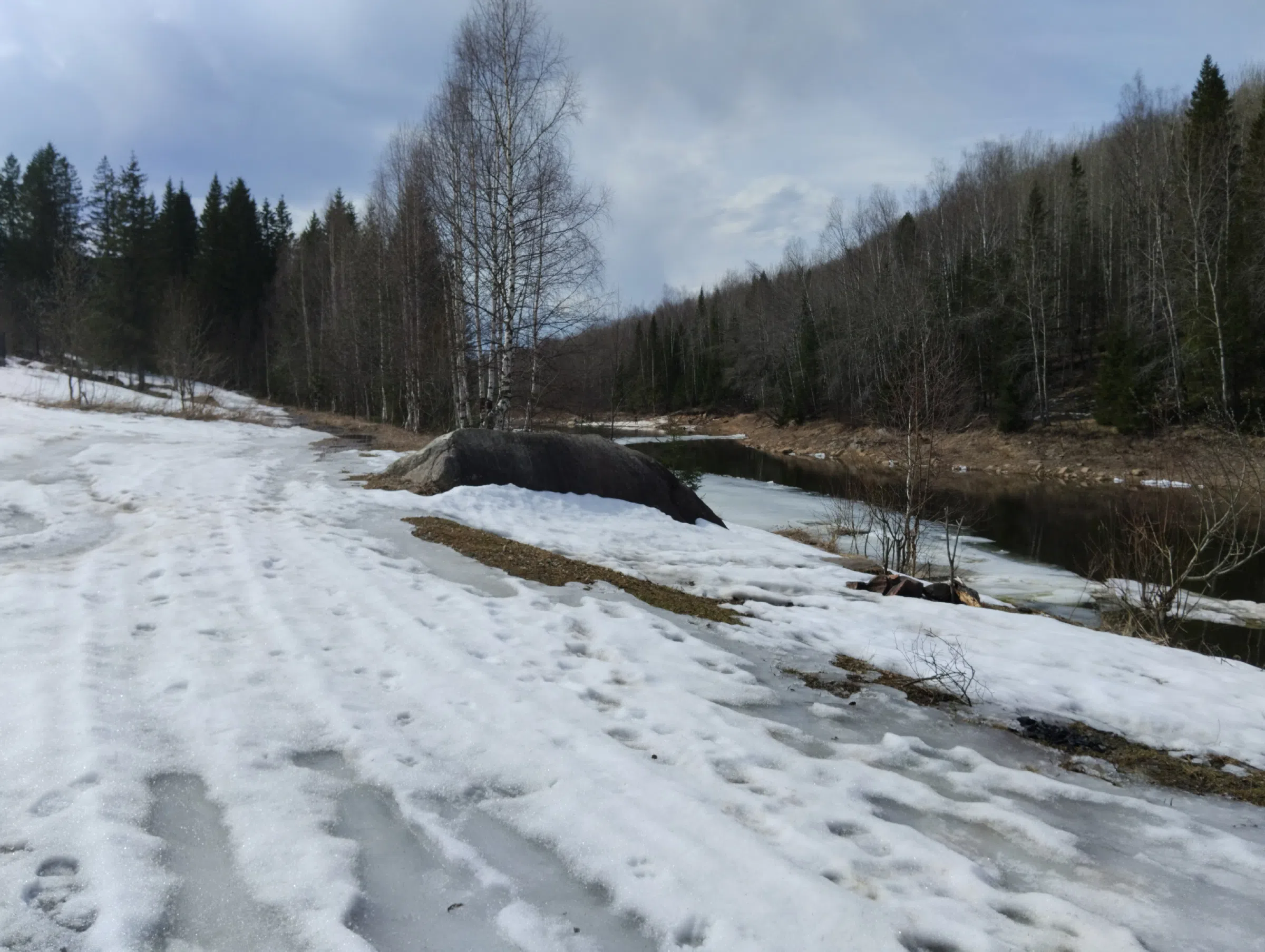Эко-тропа вдоль реки, фото 17