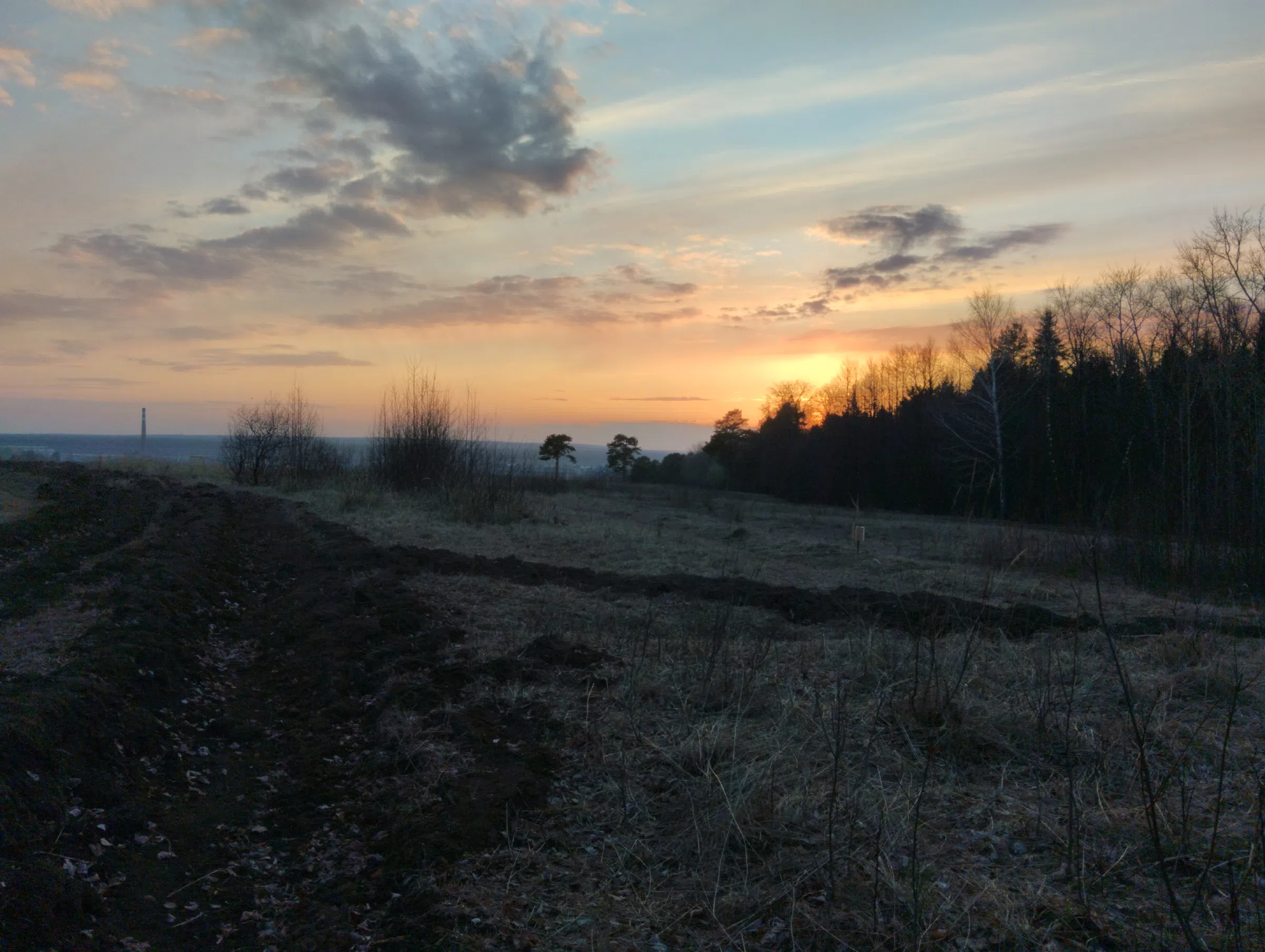 Поле на закате, фото 1