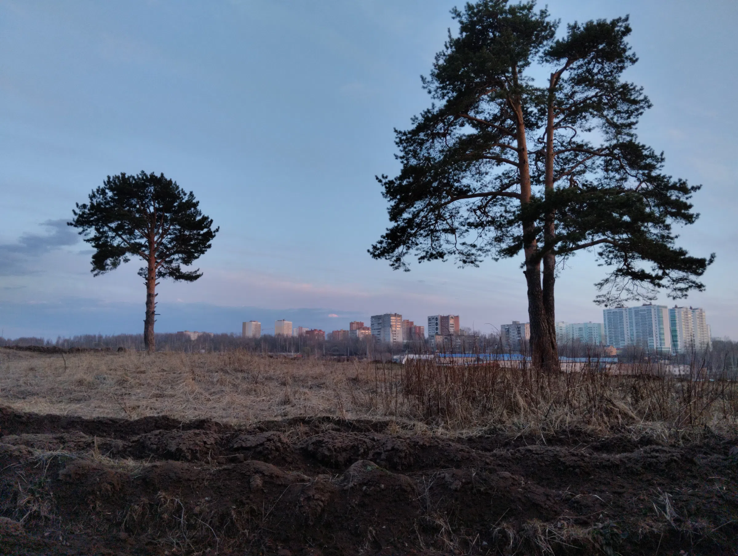 Поле на закате, фото 18