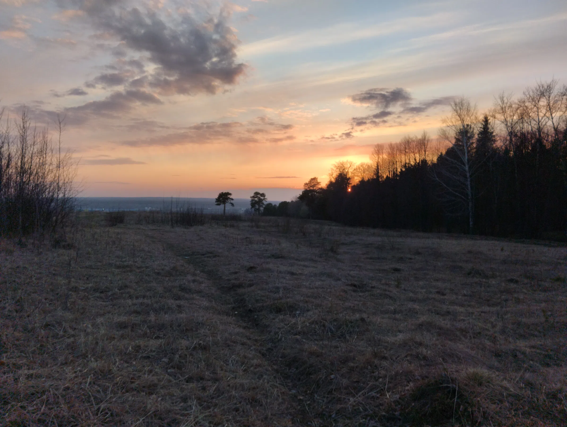 Поле на закате, фото 2