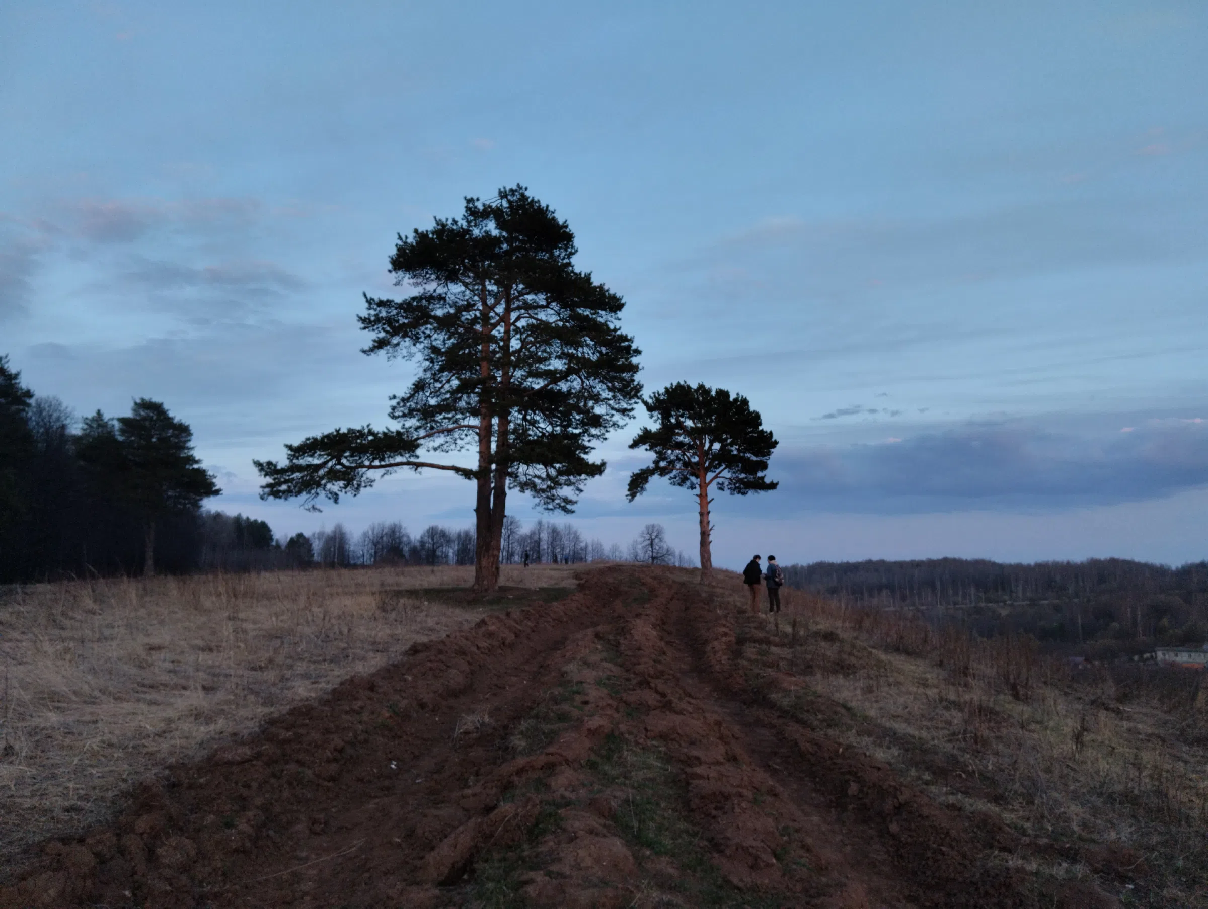 Поле на закате, фото 24