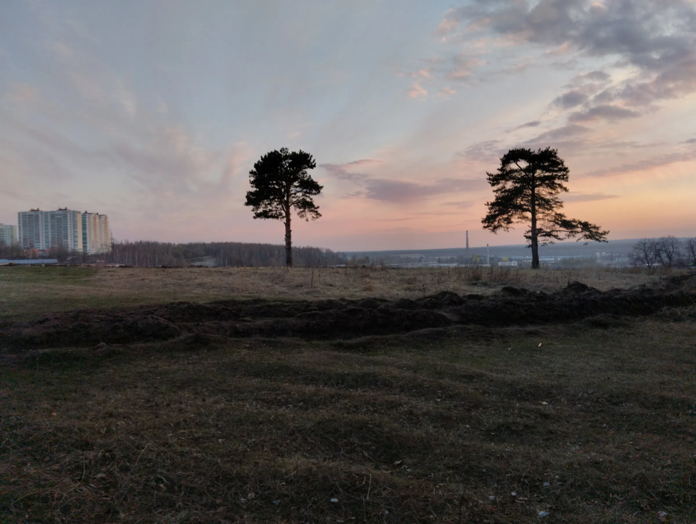 Поле на закате, фото 13