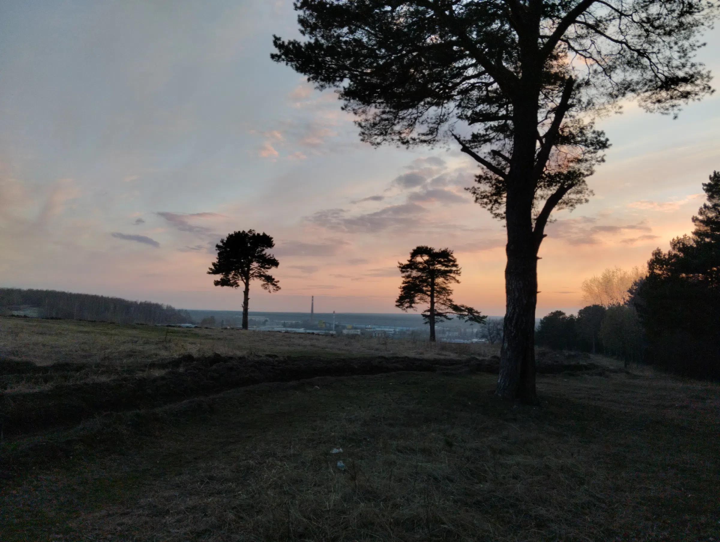 Поле на закате, фото 11