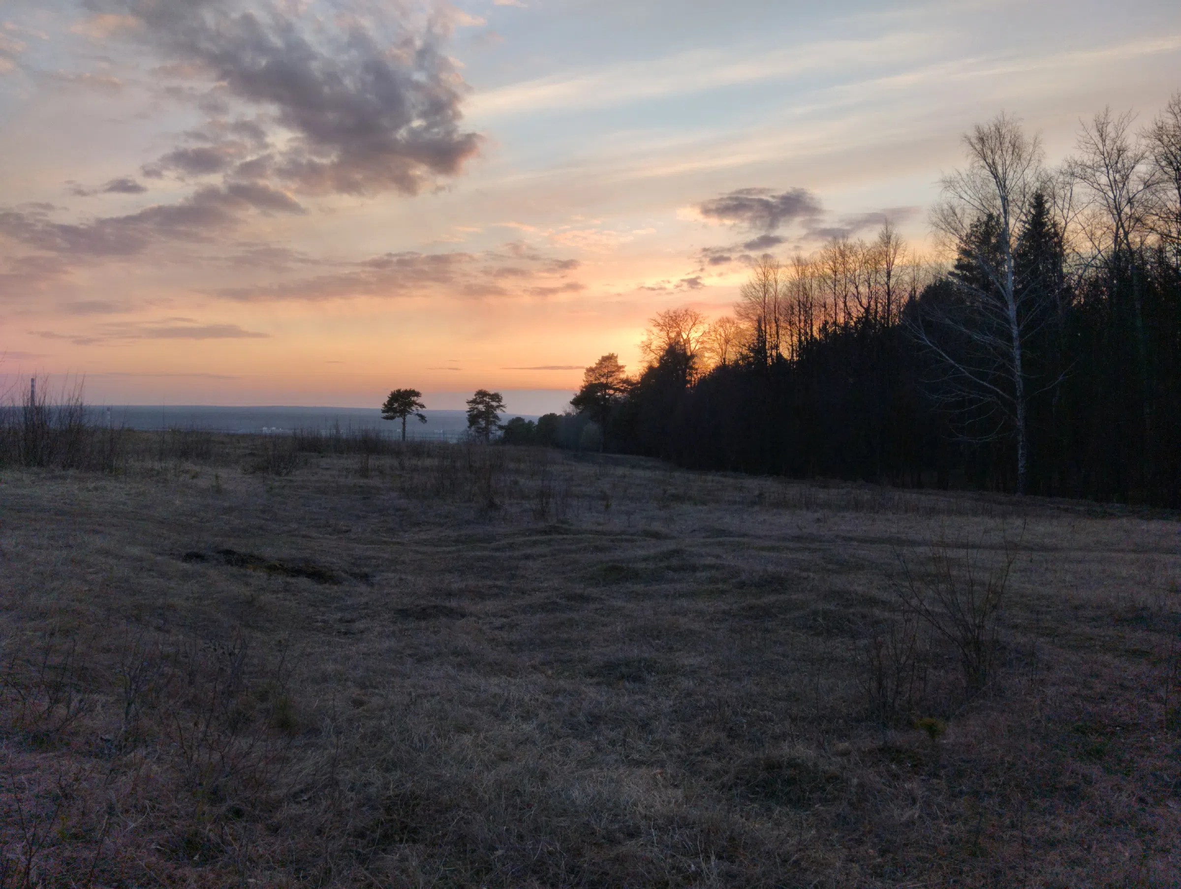 Поле на закате, фото 3