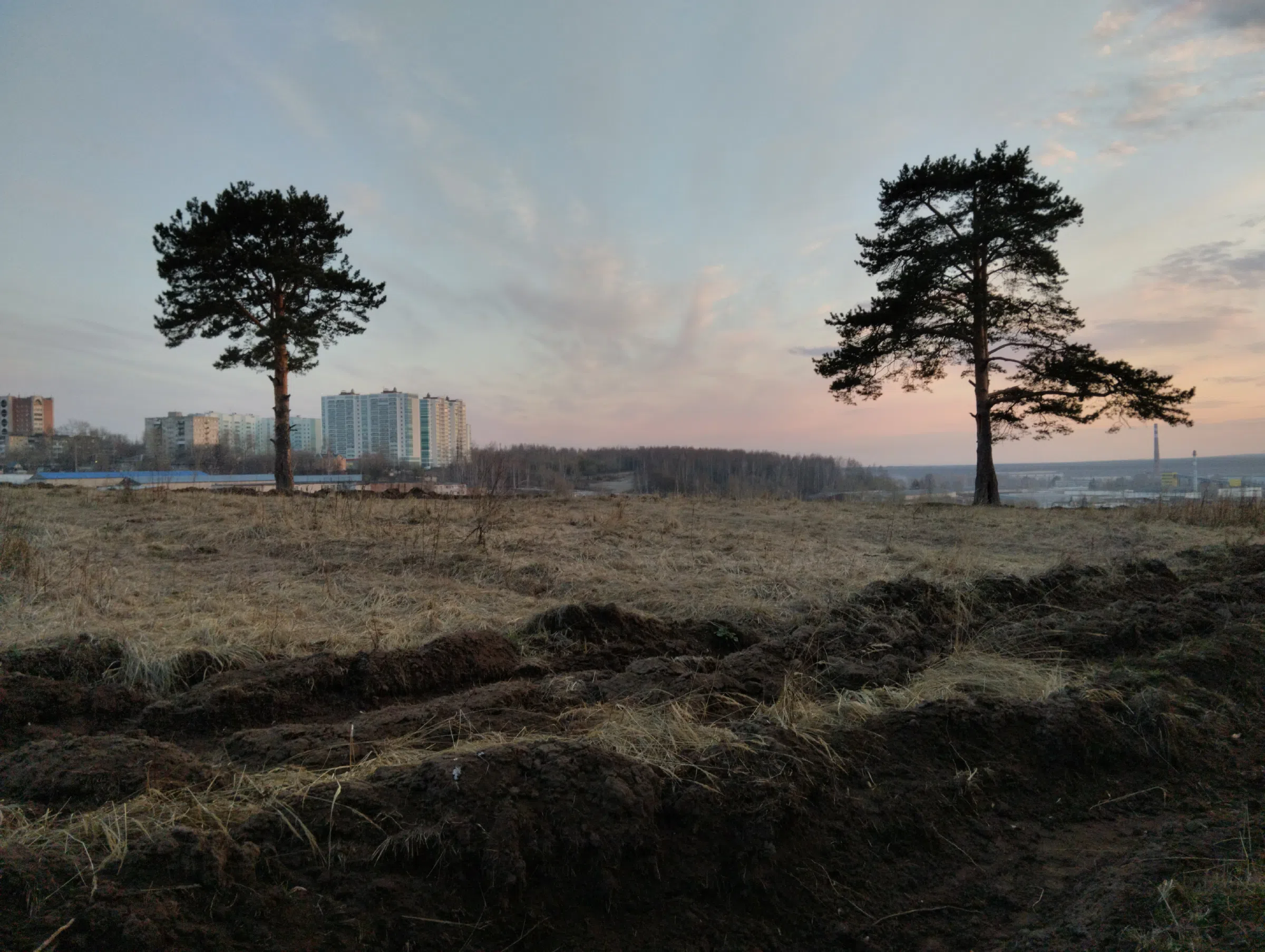 Поле на закате, фото 15