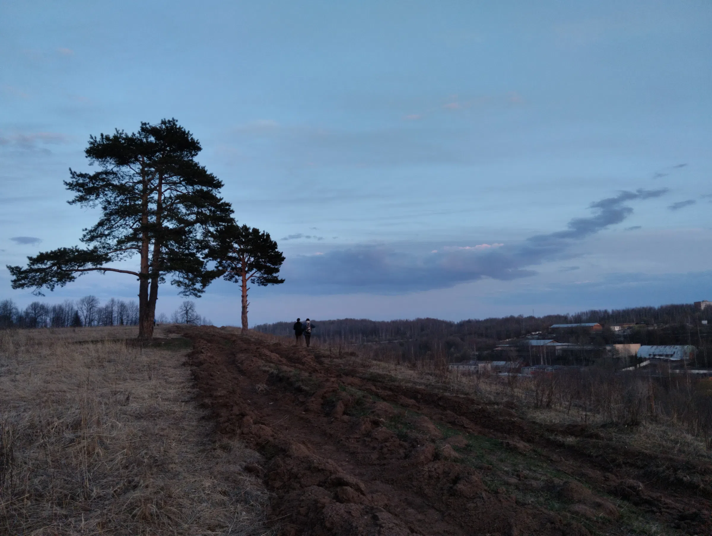 Поле на закате, фото 23