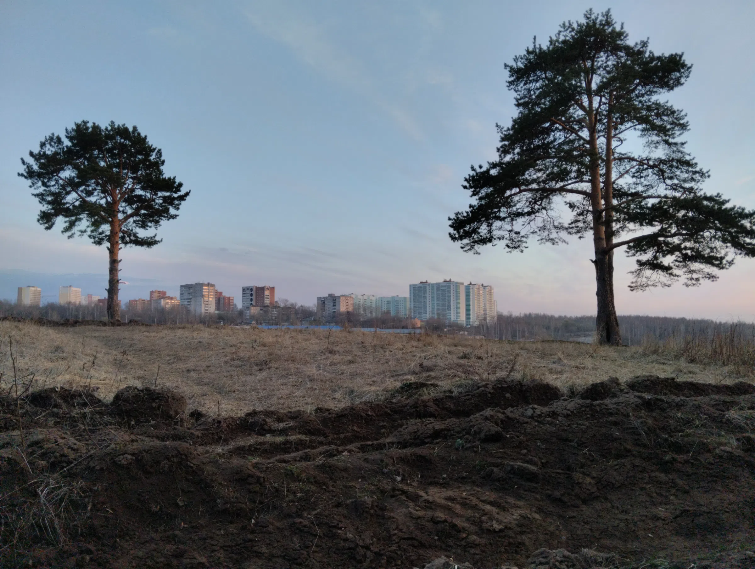 Поле на закате, фото 17
