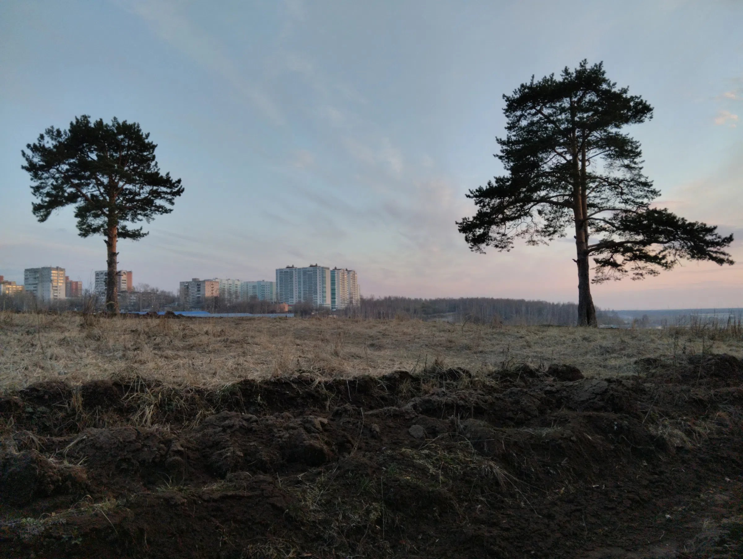 Поле на закате, фото 16