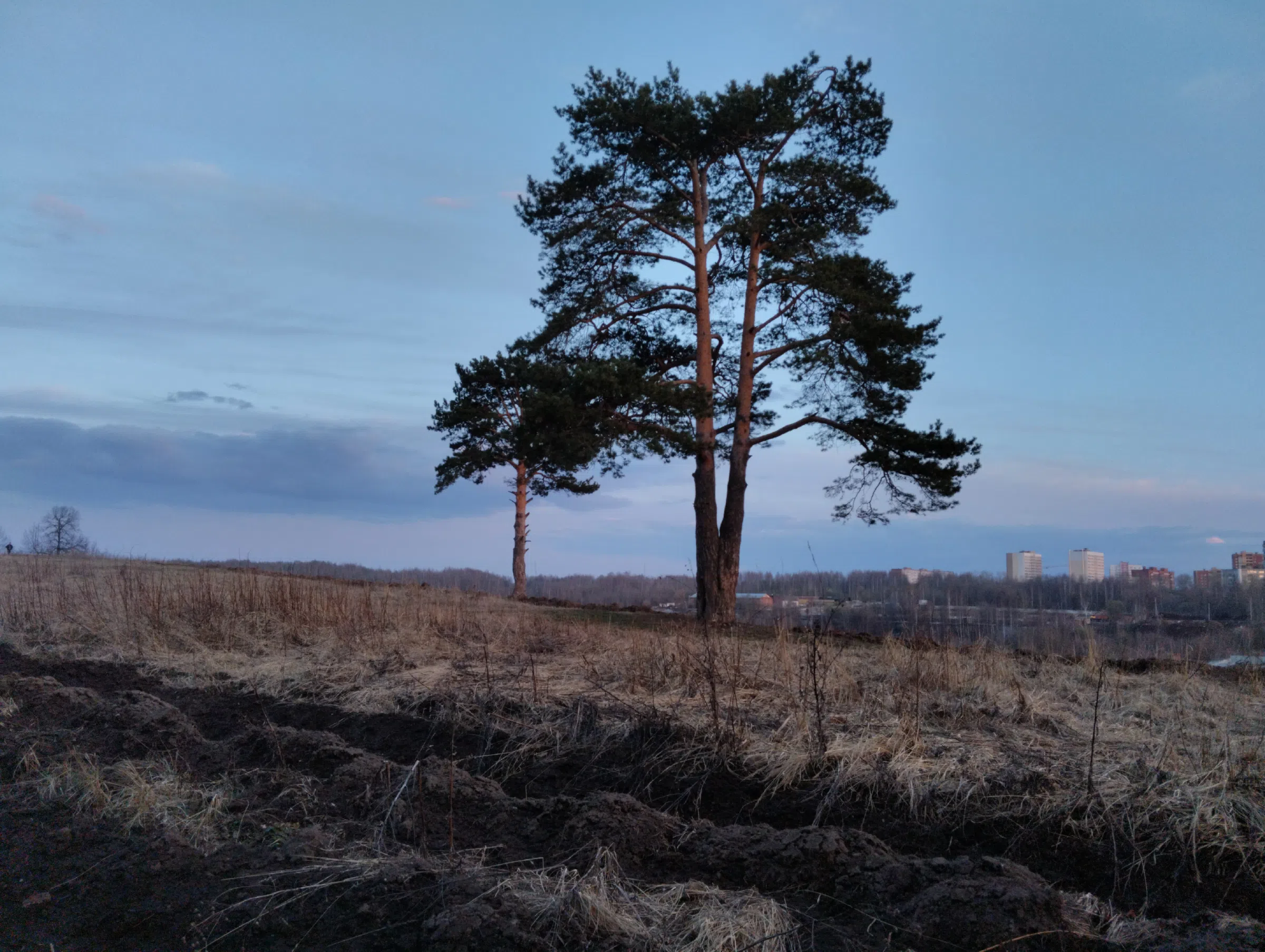 Поле на закате, фото 20