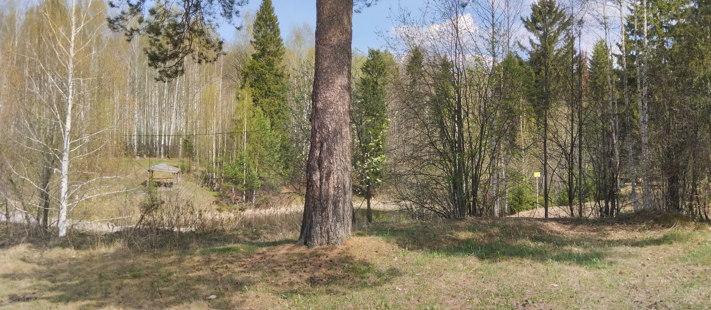 Дача в лесу у реки, фото 2