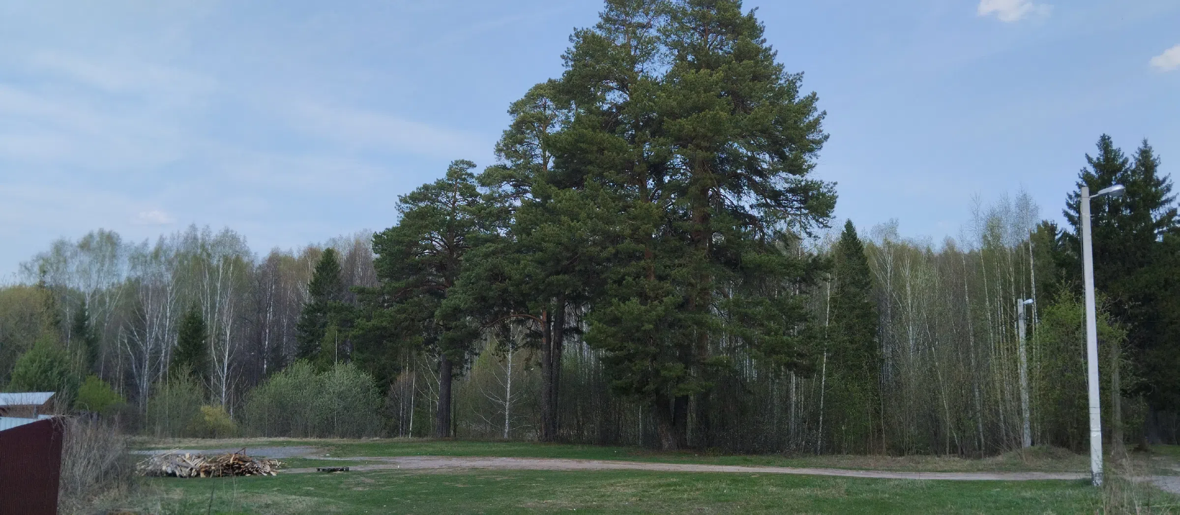 Дача в лесу у реки, фото 7