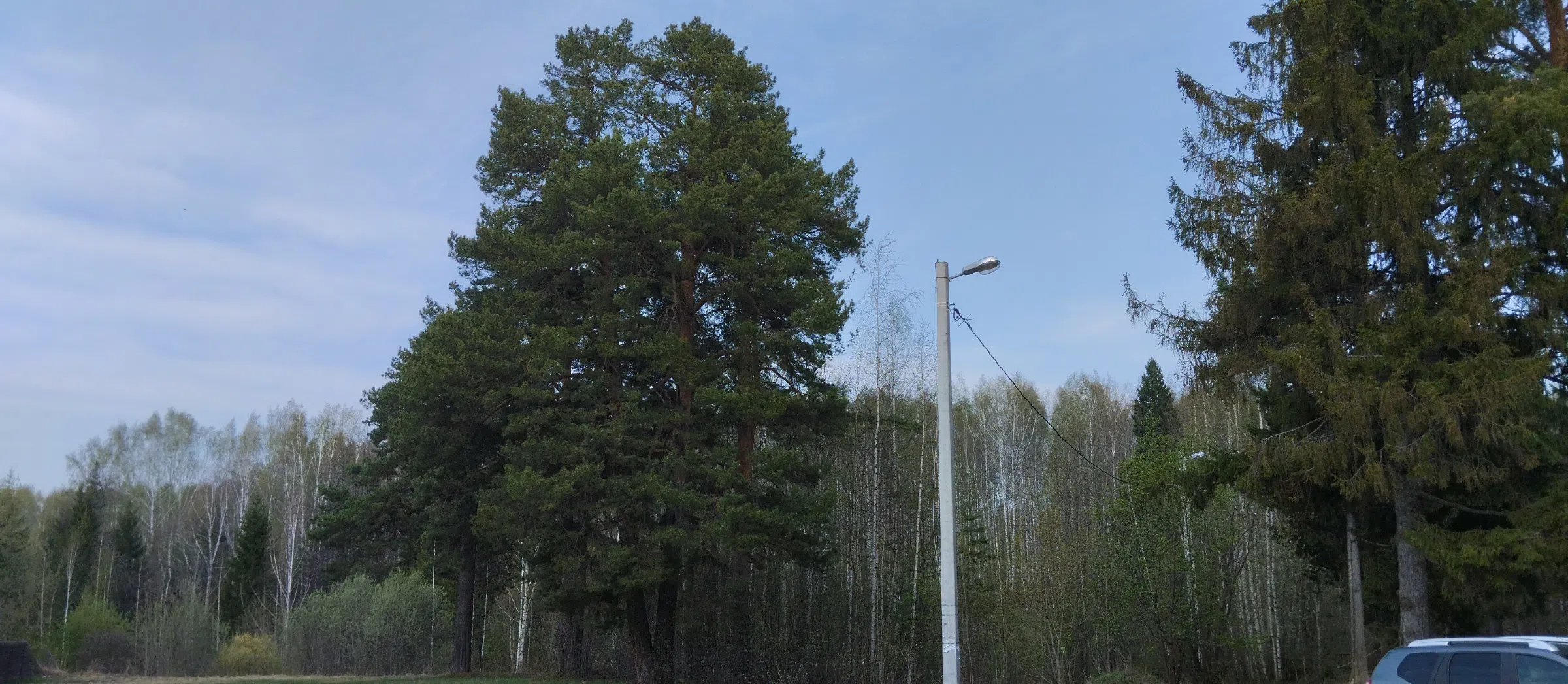 Дача в лесу у реки, фото 8