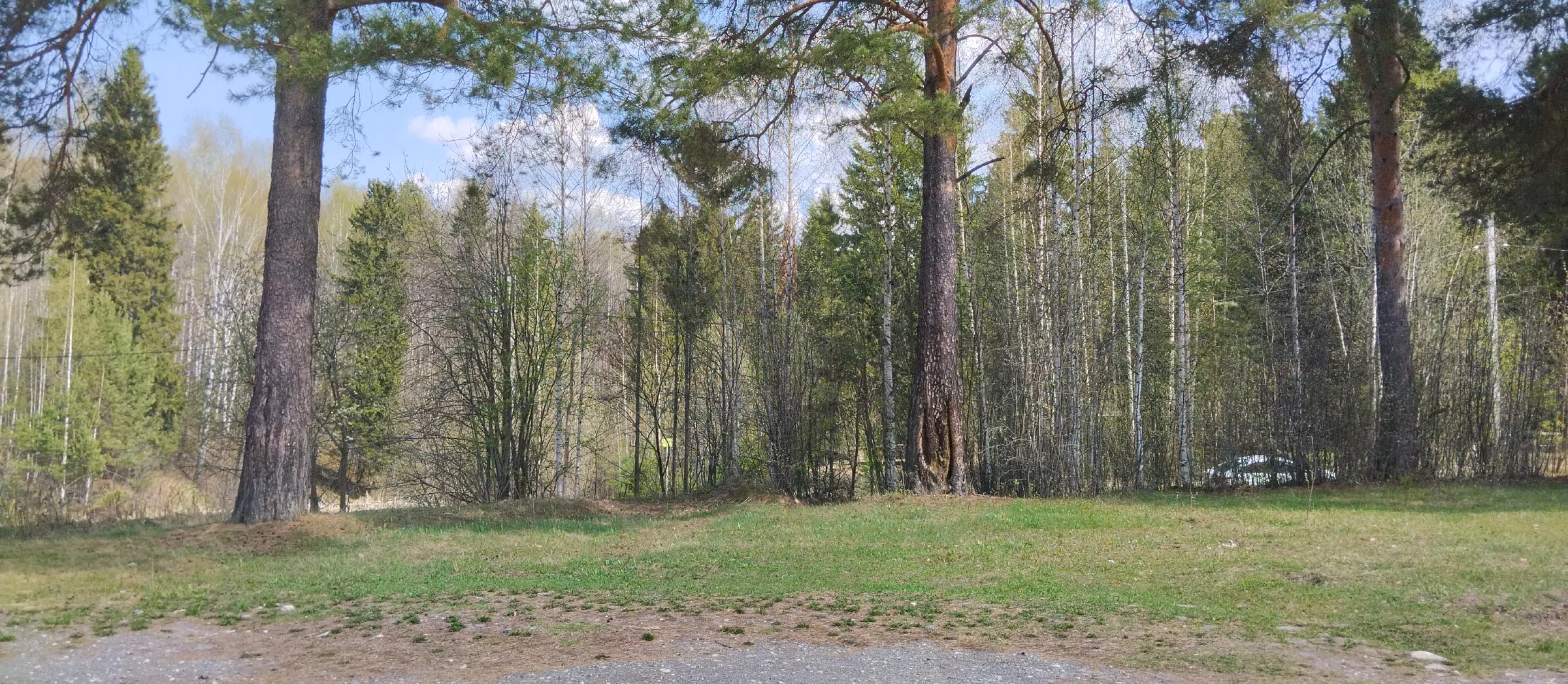 Дача в лесу у реки, фото 4