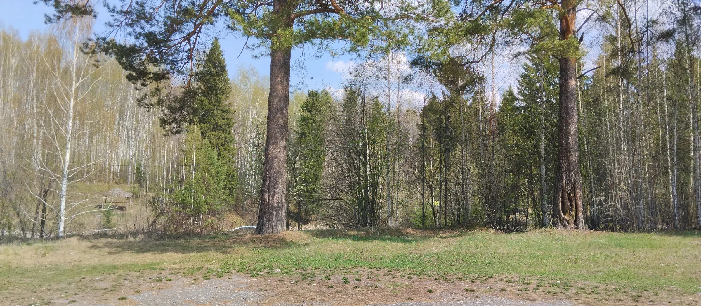 Дача в лесу у реки, фото 3