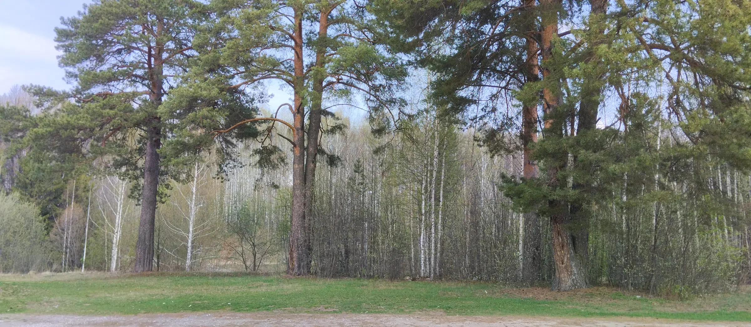 Дача в лесу у реки, фото 5