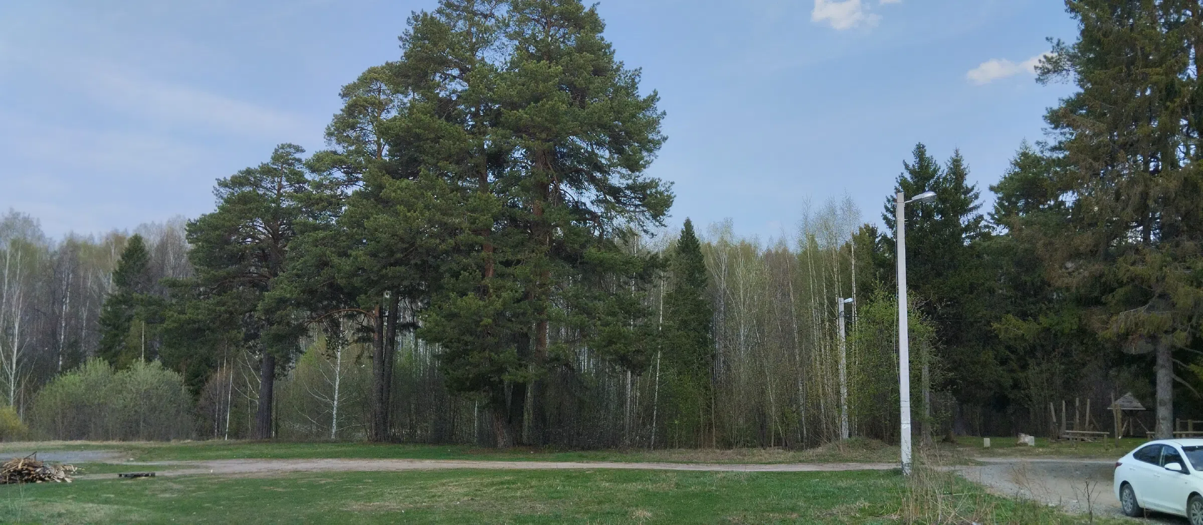 Дача в лесу у реки, фото 6