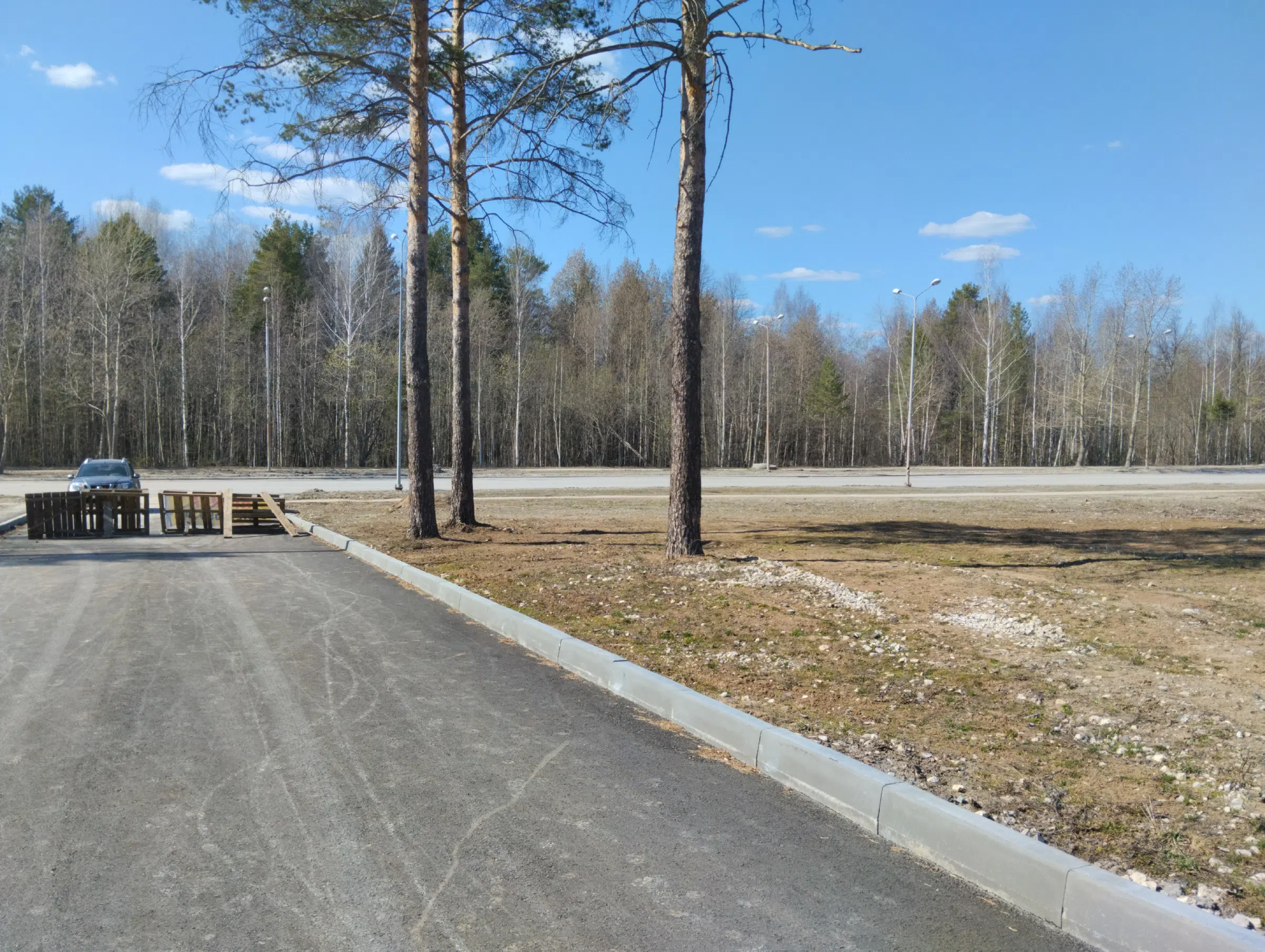 Стоянка у трех сосен, фото 5