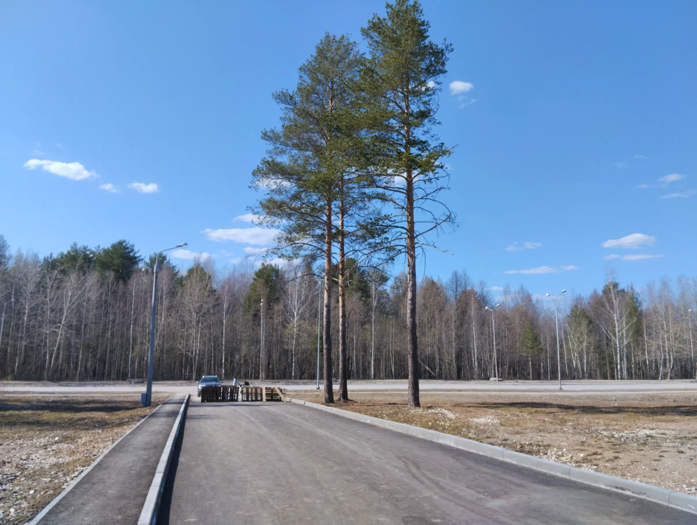 Стоянка у трех сосен, фото 1