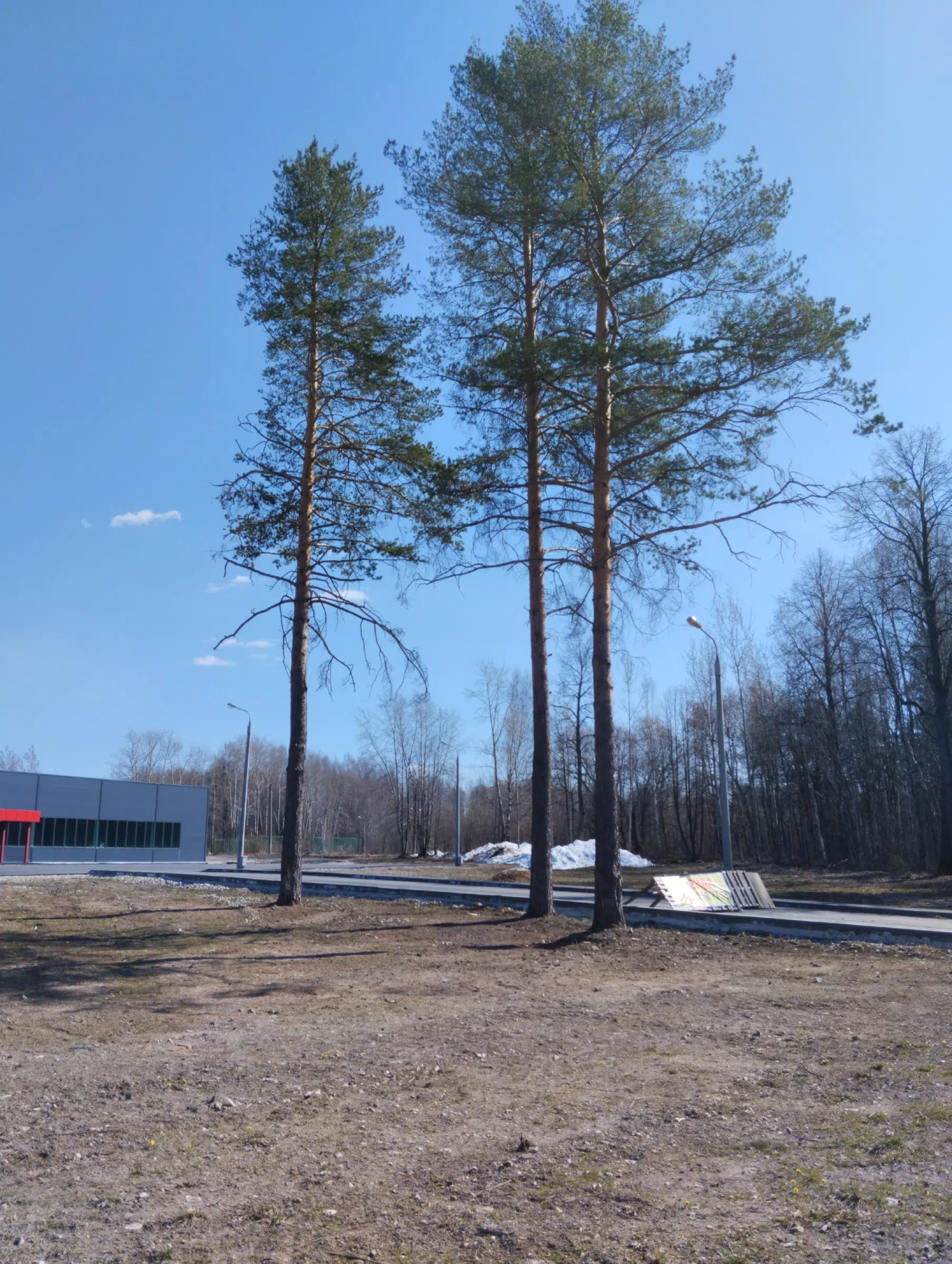 Стоянка у трех сосен, фото 9