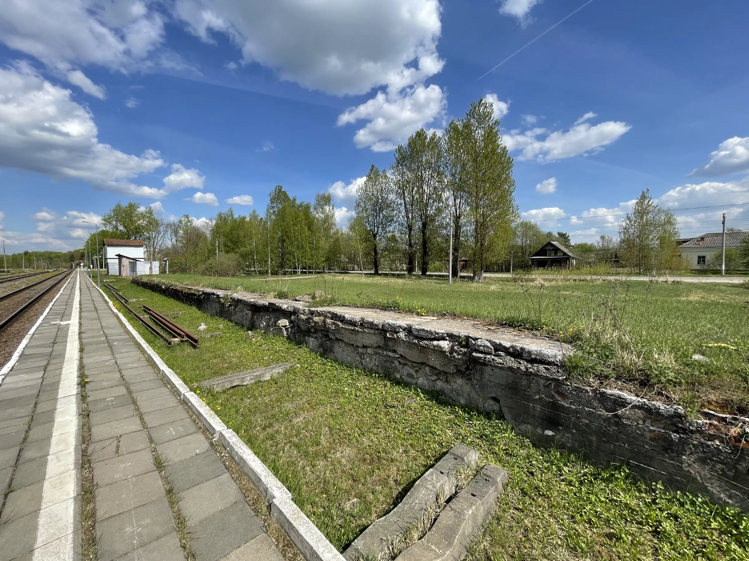 Железнодорожный склад с бревнами, фото 5