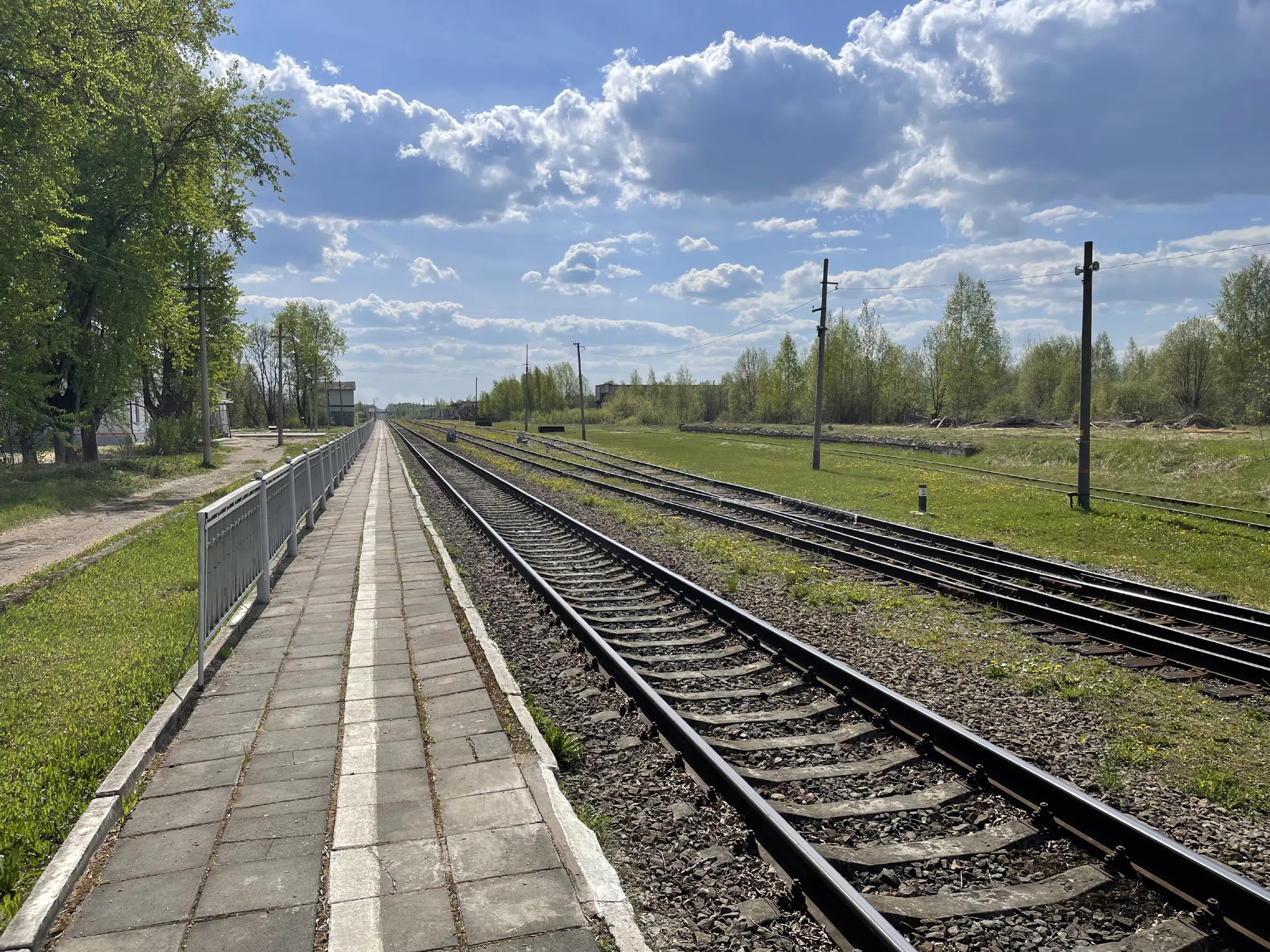 Железнодорожный склад с бревнами, фото 9