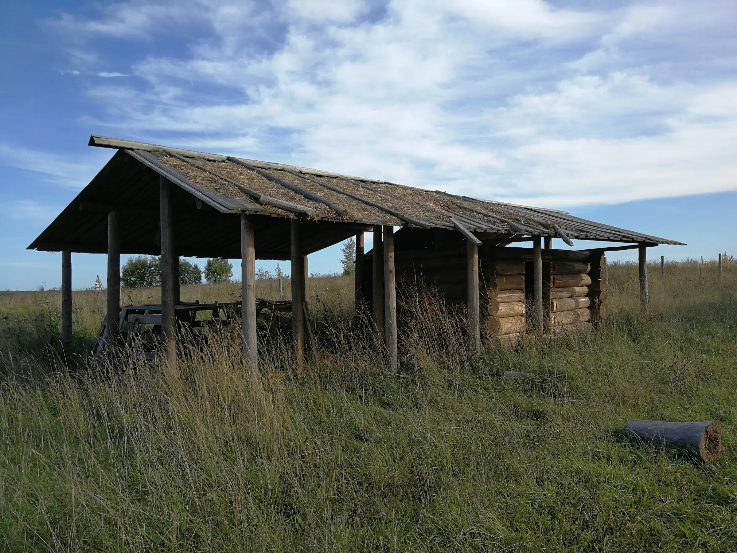 Рубленая дача в поле, фото 14
