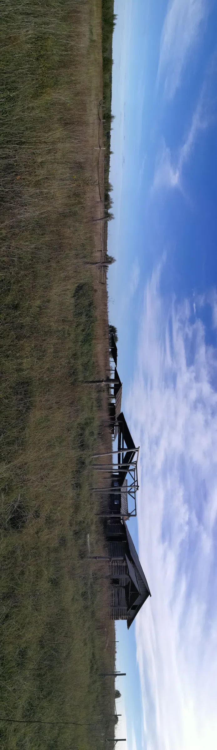 Рубленая дача в поле, фото 11