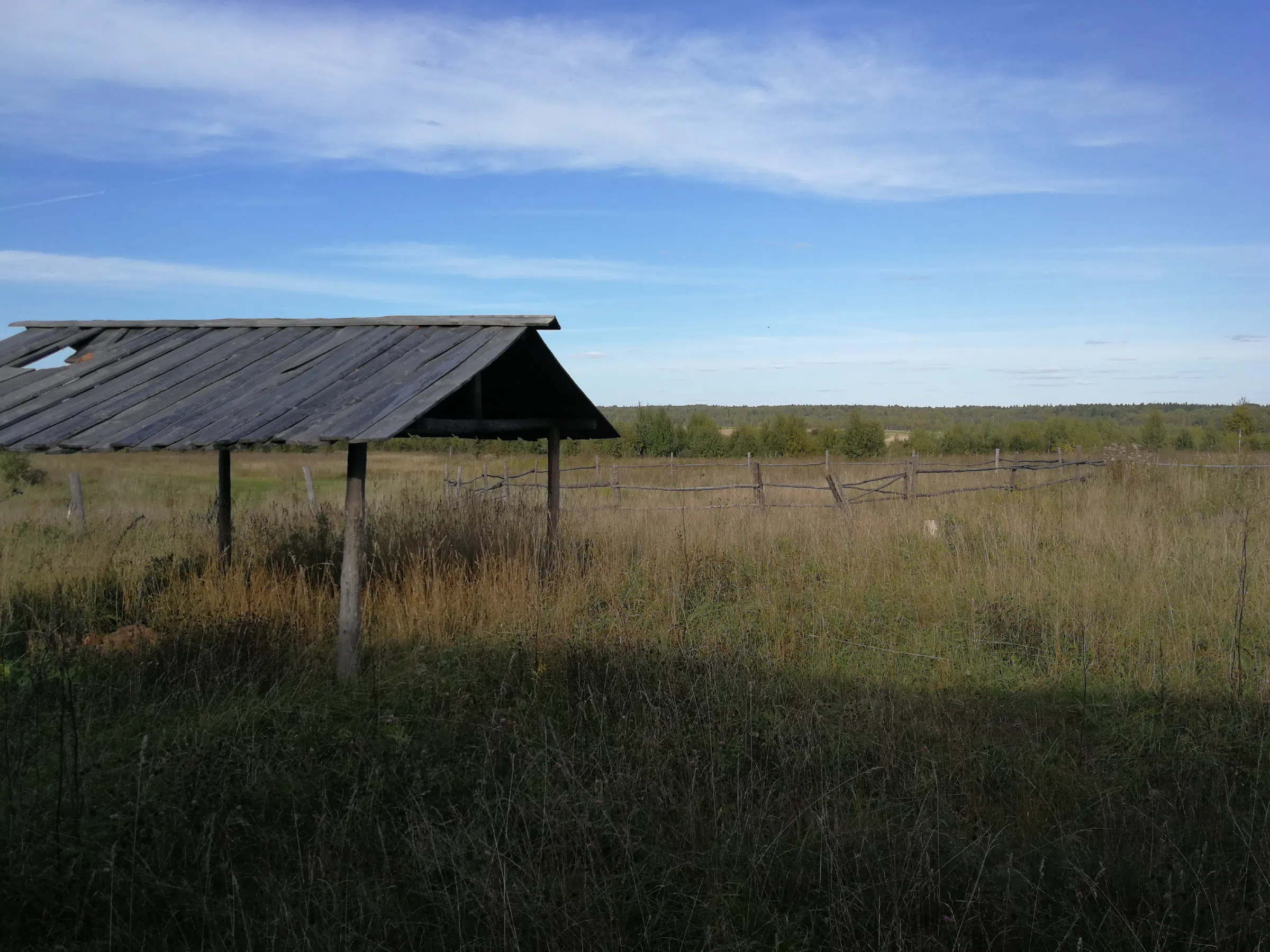 Рубленая дача в поле, фото 10