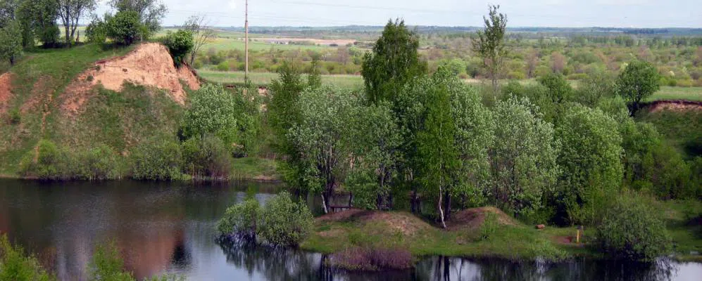 Река в лесу, фото 10