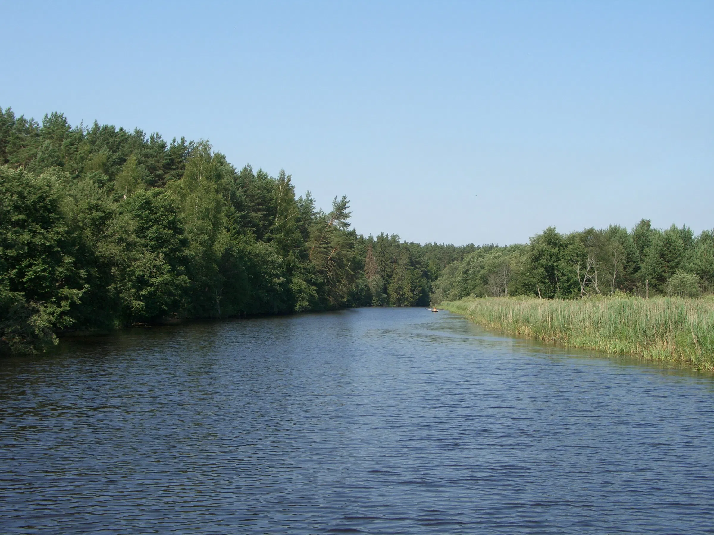 Река в лесу, фото 12