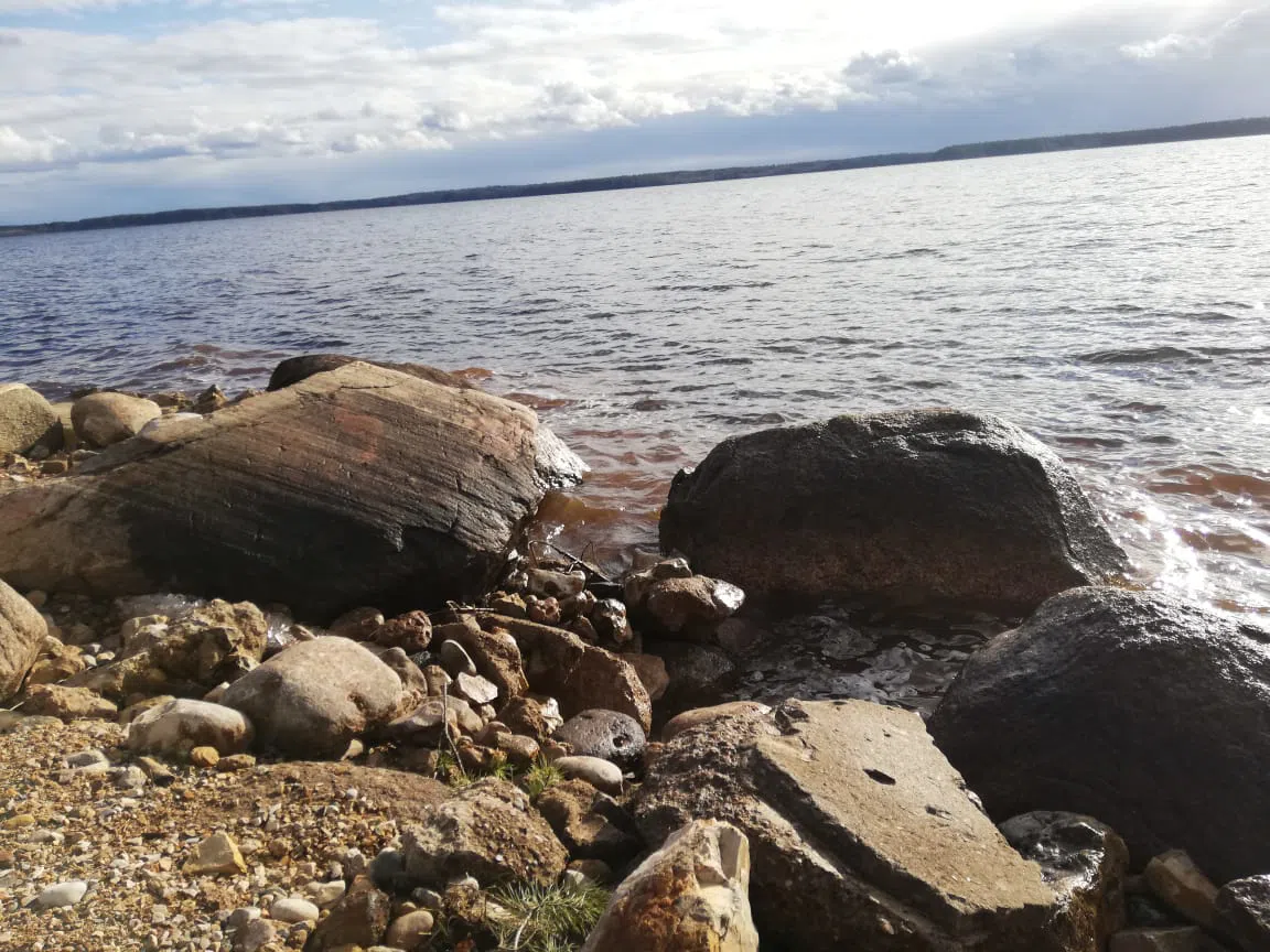 Берег с соснами, фото 1