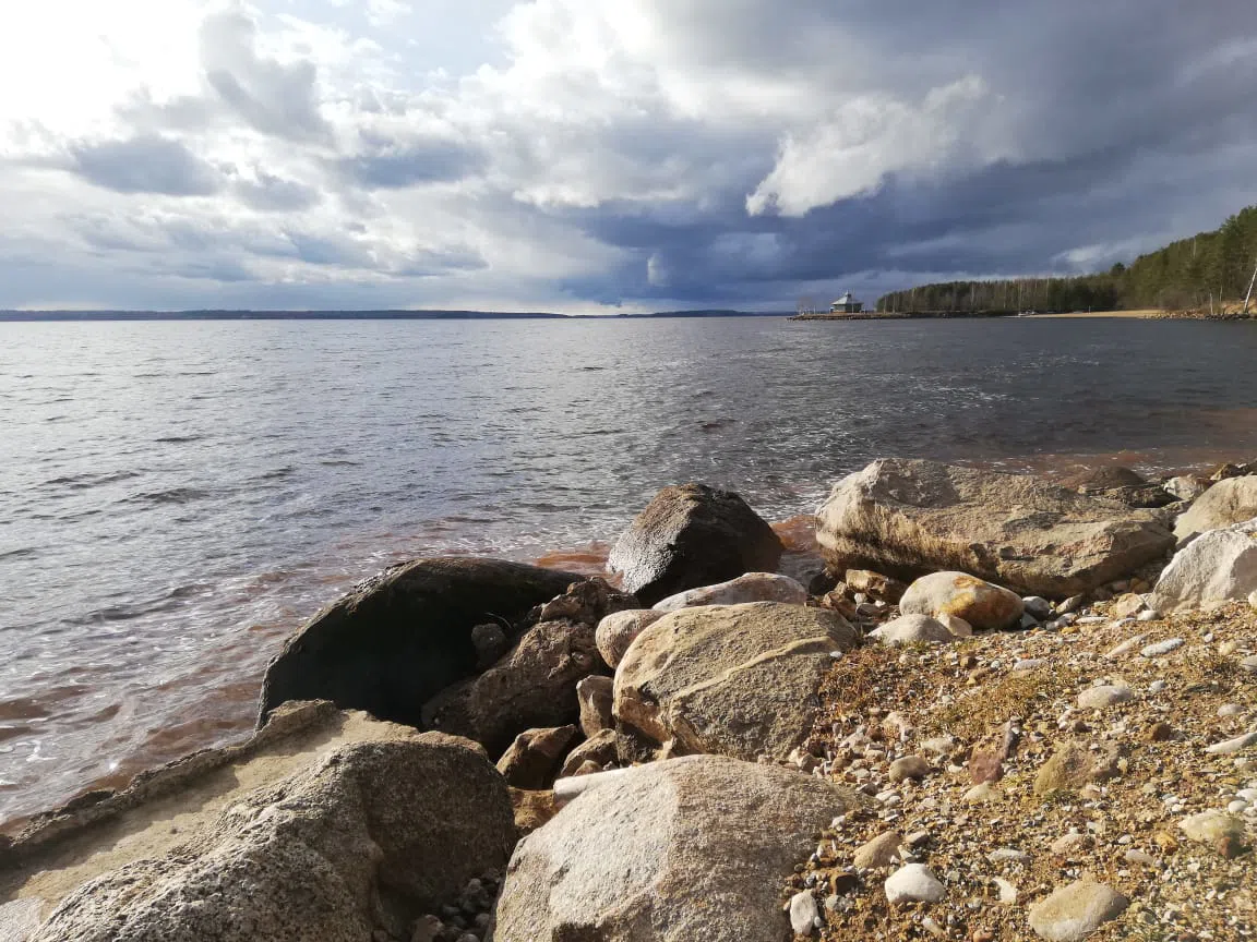 Берег с соснами, фото 11