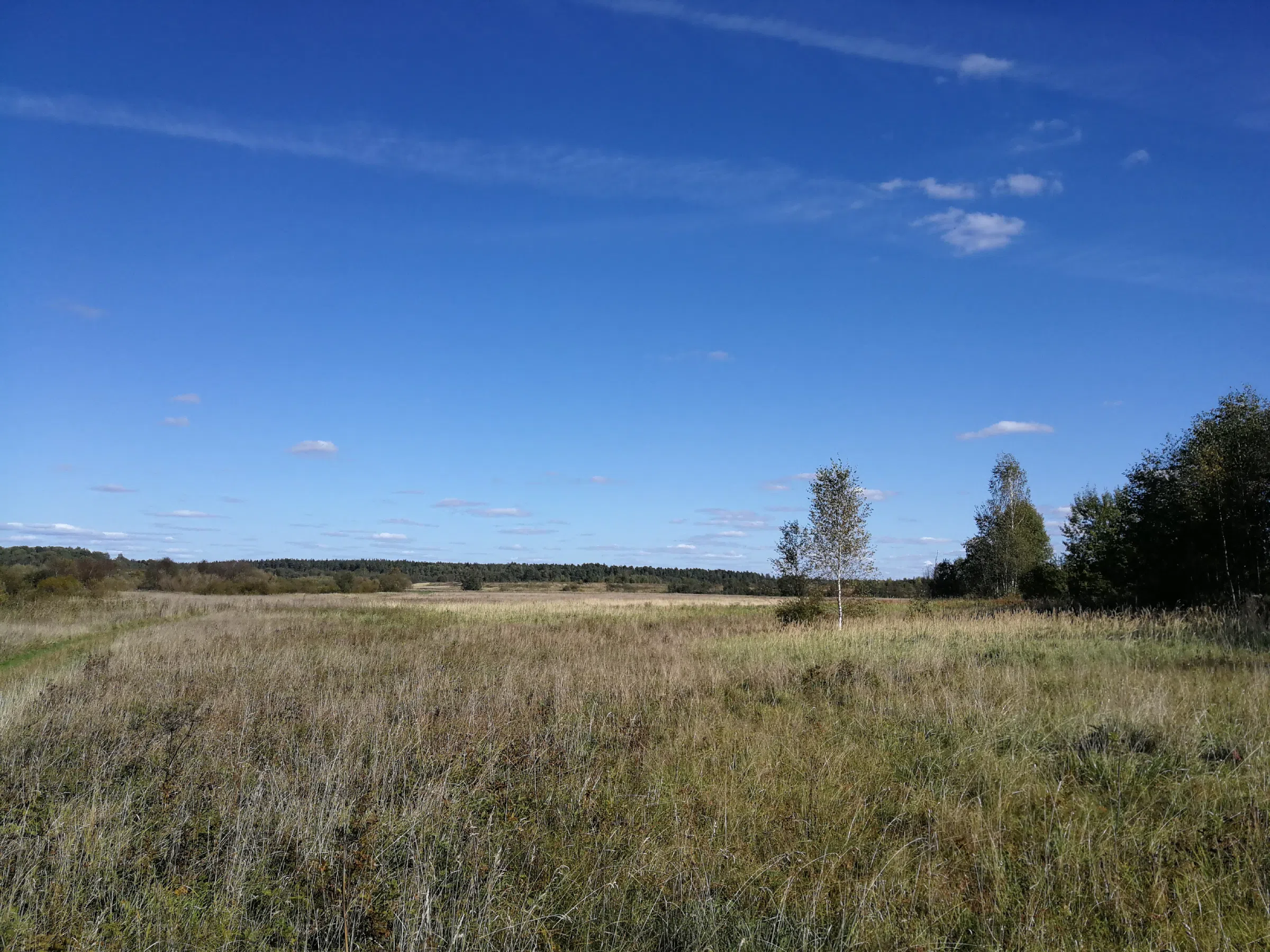 Излучина реки и поля, фото 12