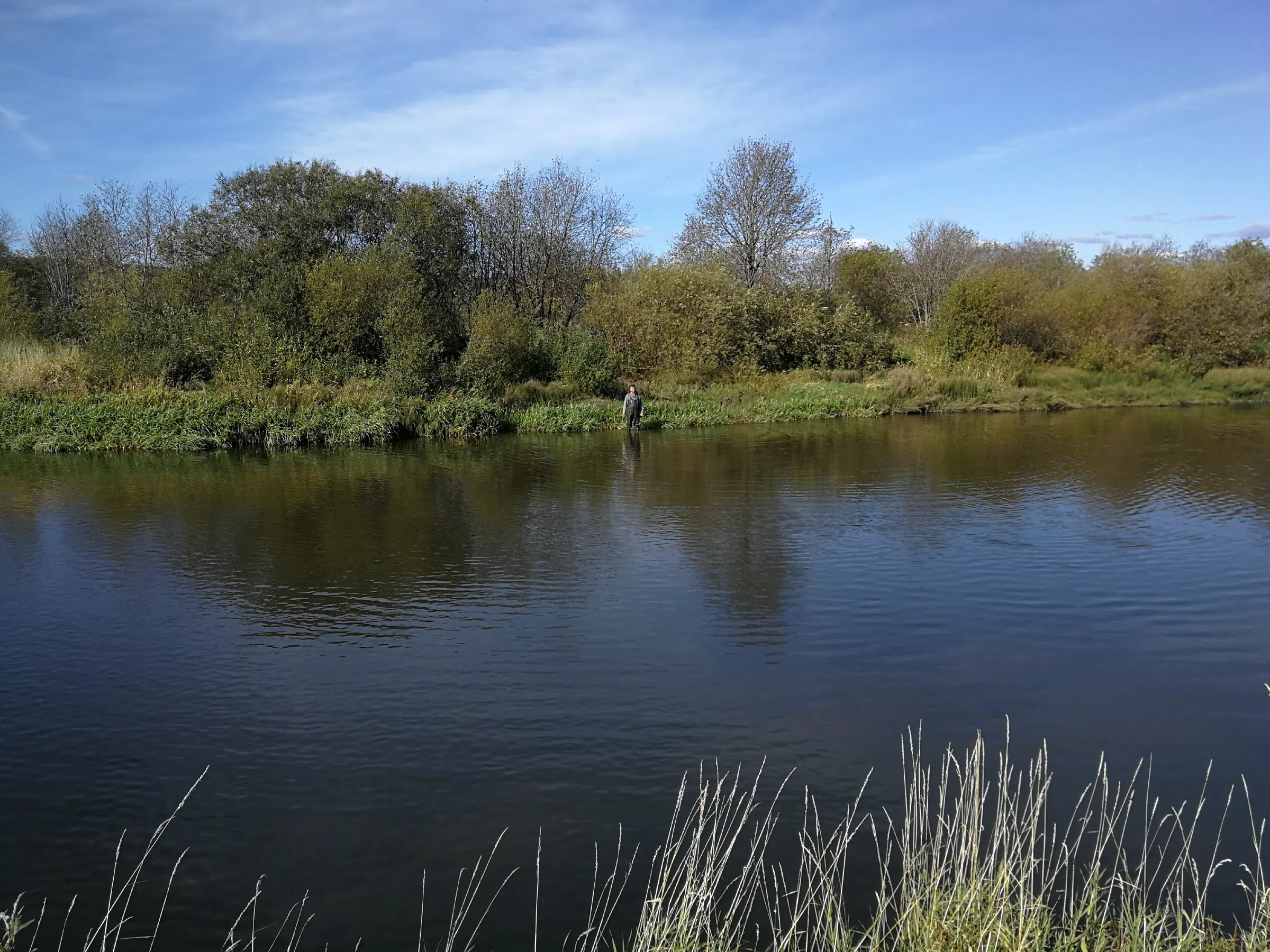 Излучина реки и поля, фото 19
