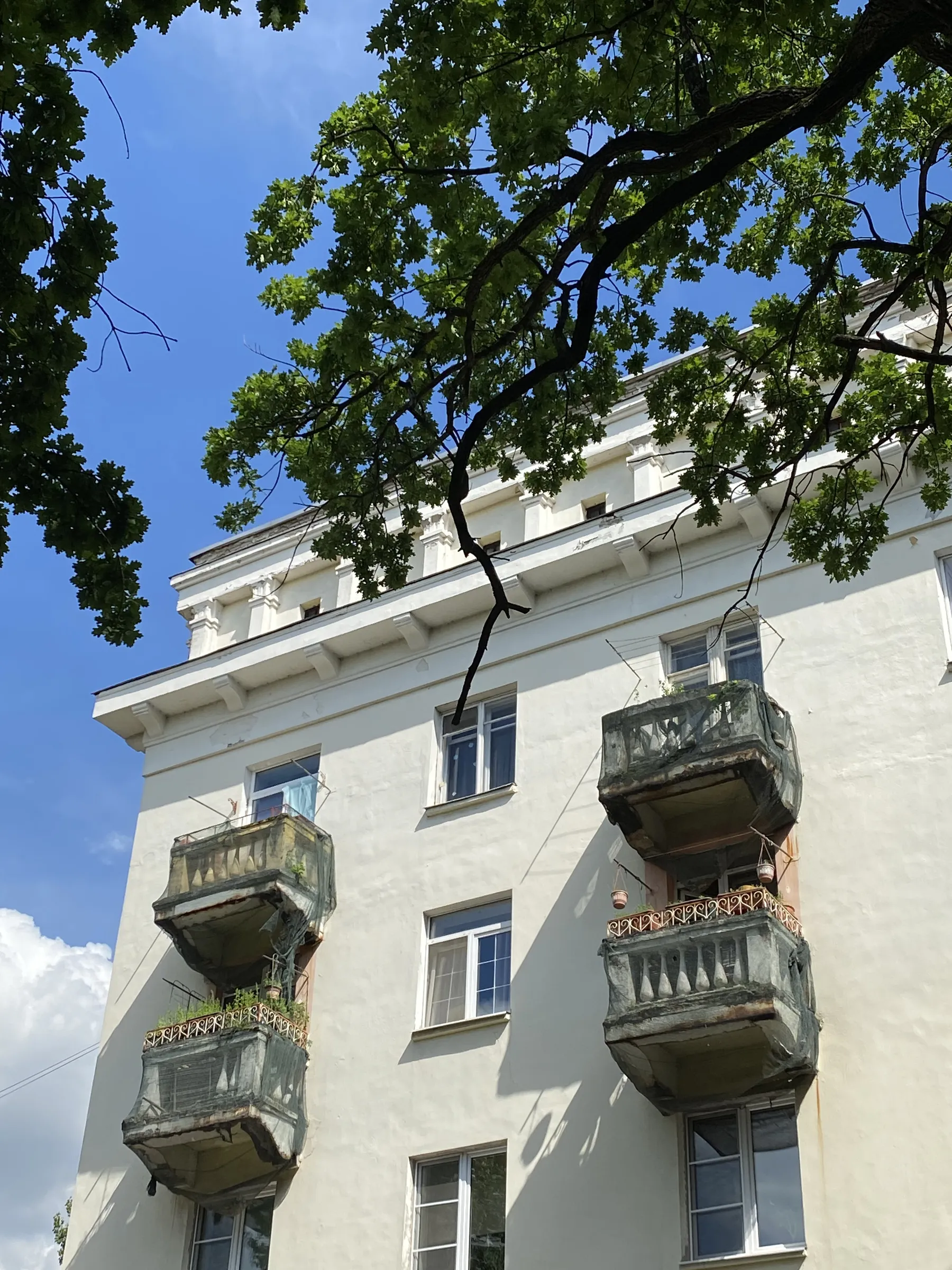 Сталинка с двором и прудом, фото 16