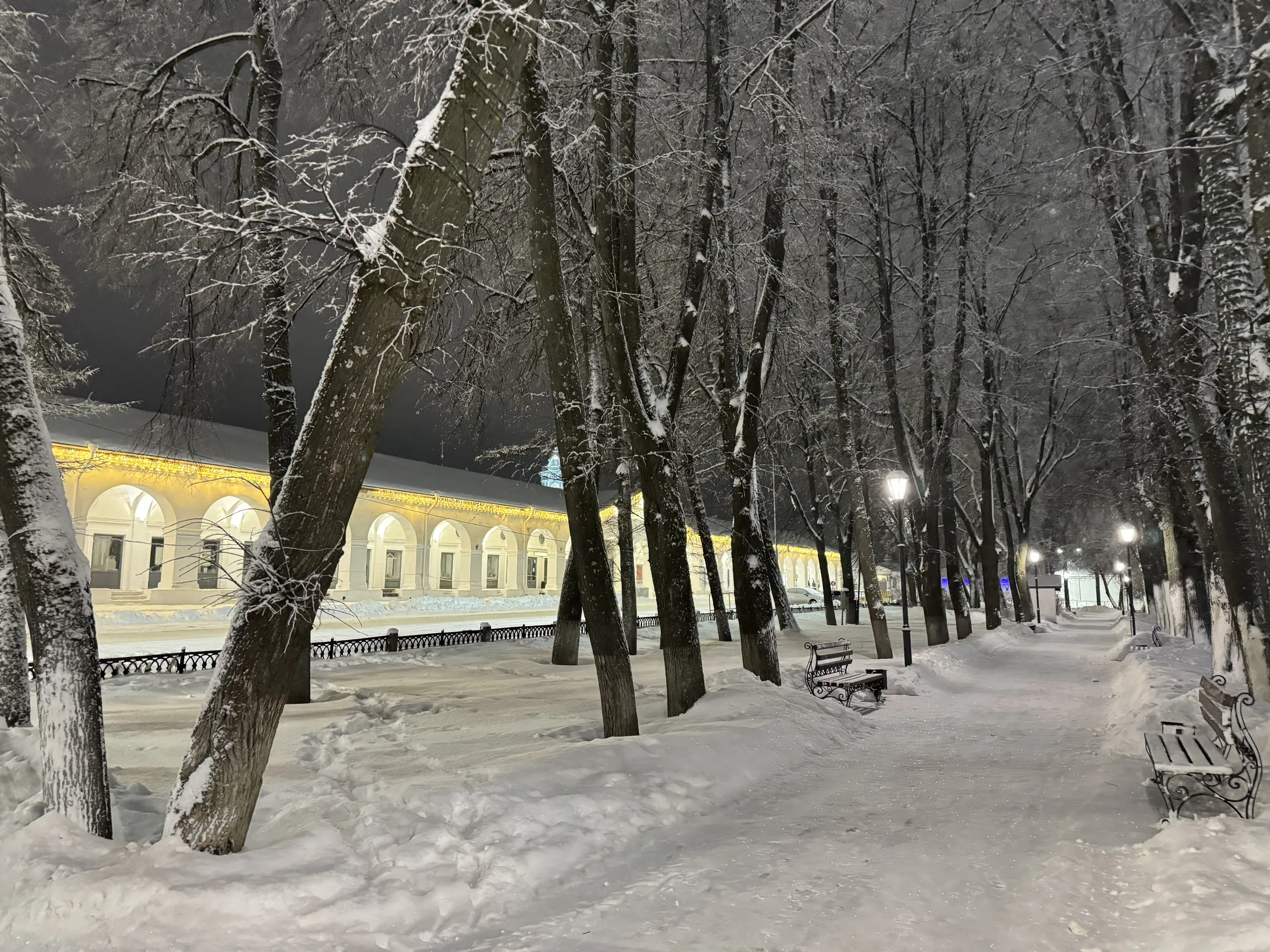Ночная зимняя улица, фото 13