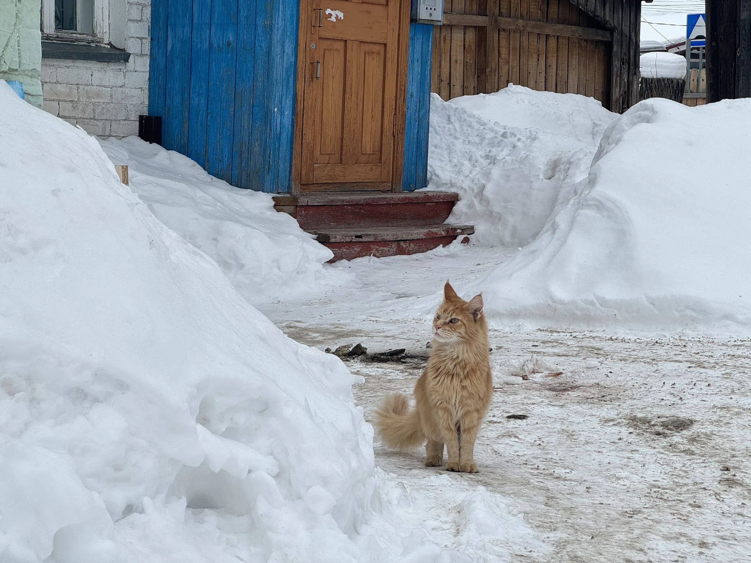 Старинная улица с домиками, фото 17