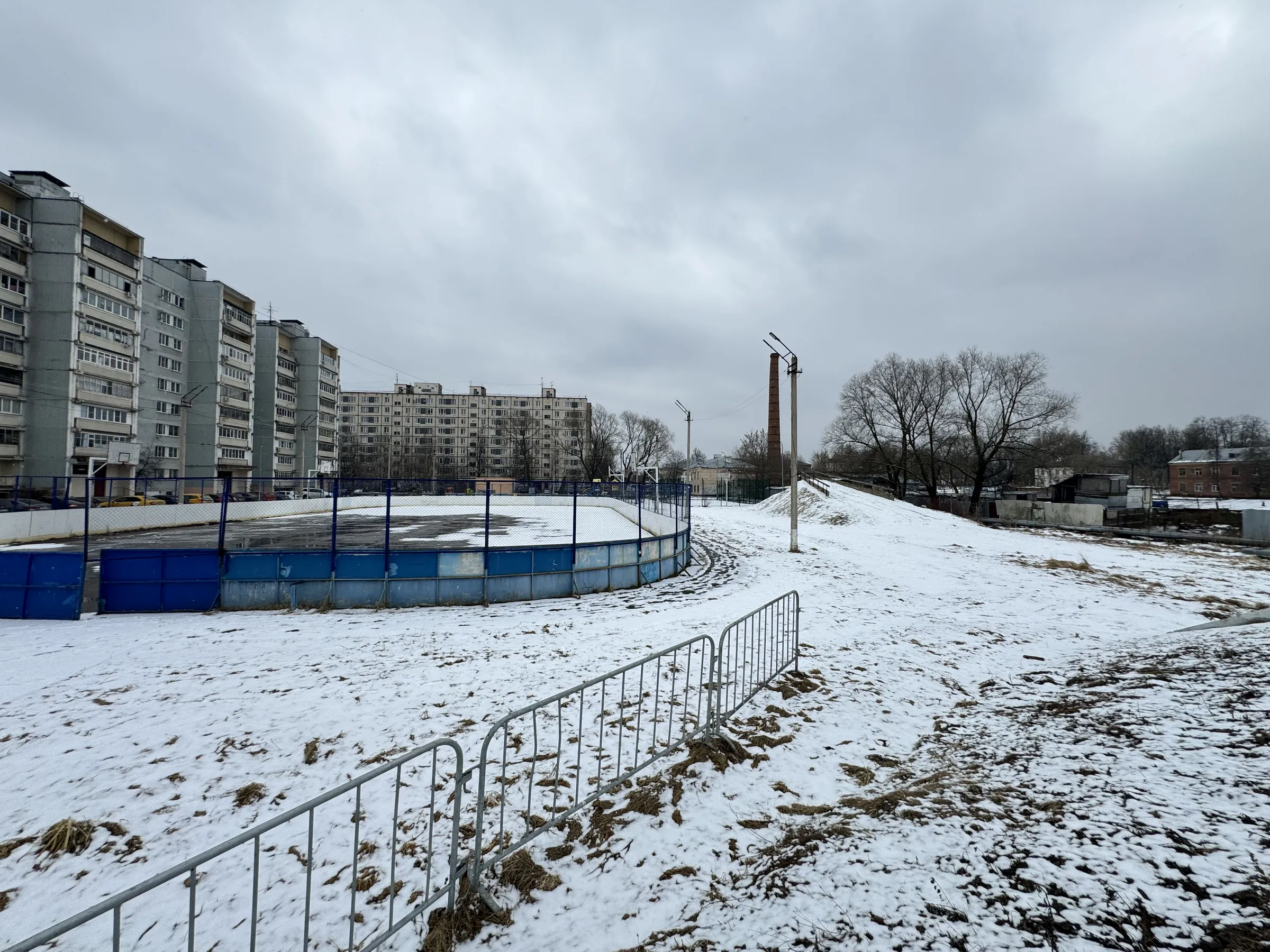 Квартира с хоккейной коробкой, фото 6