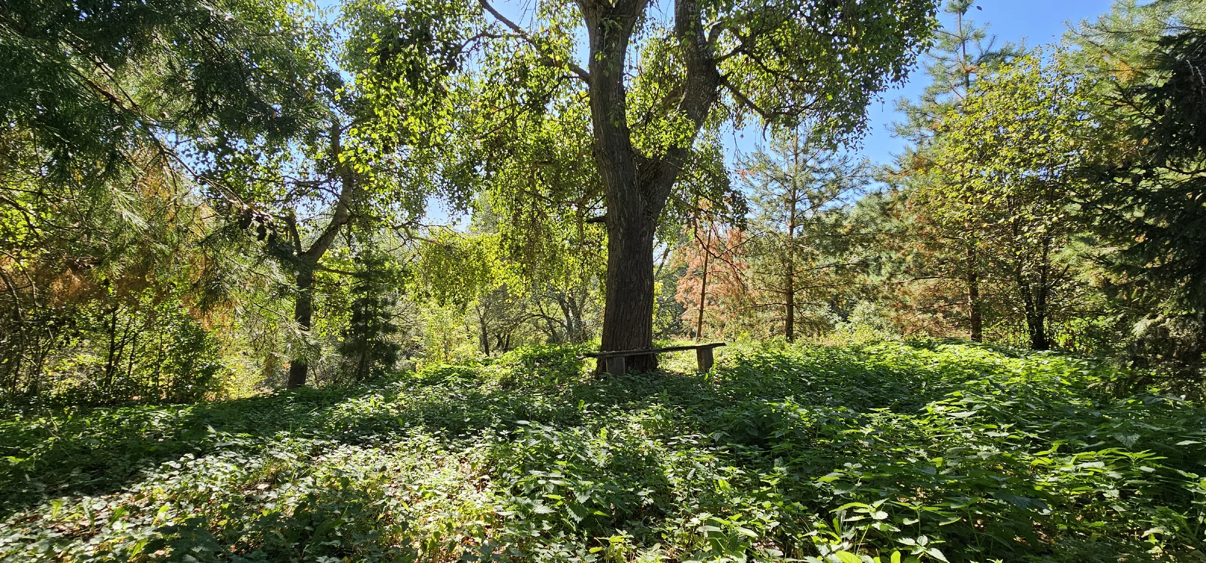 Храм cреди полей, фото 22