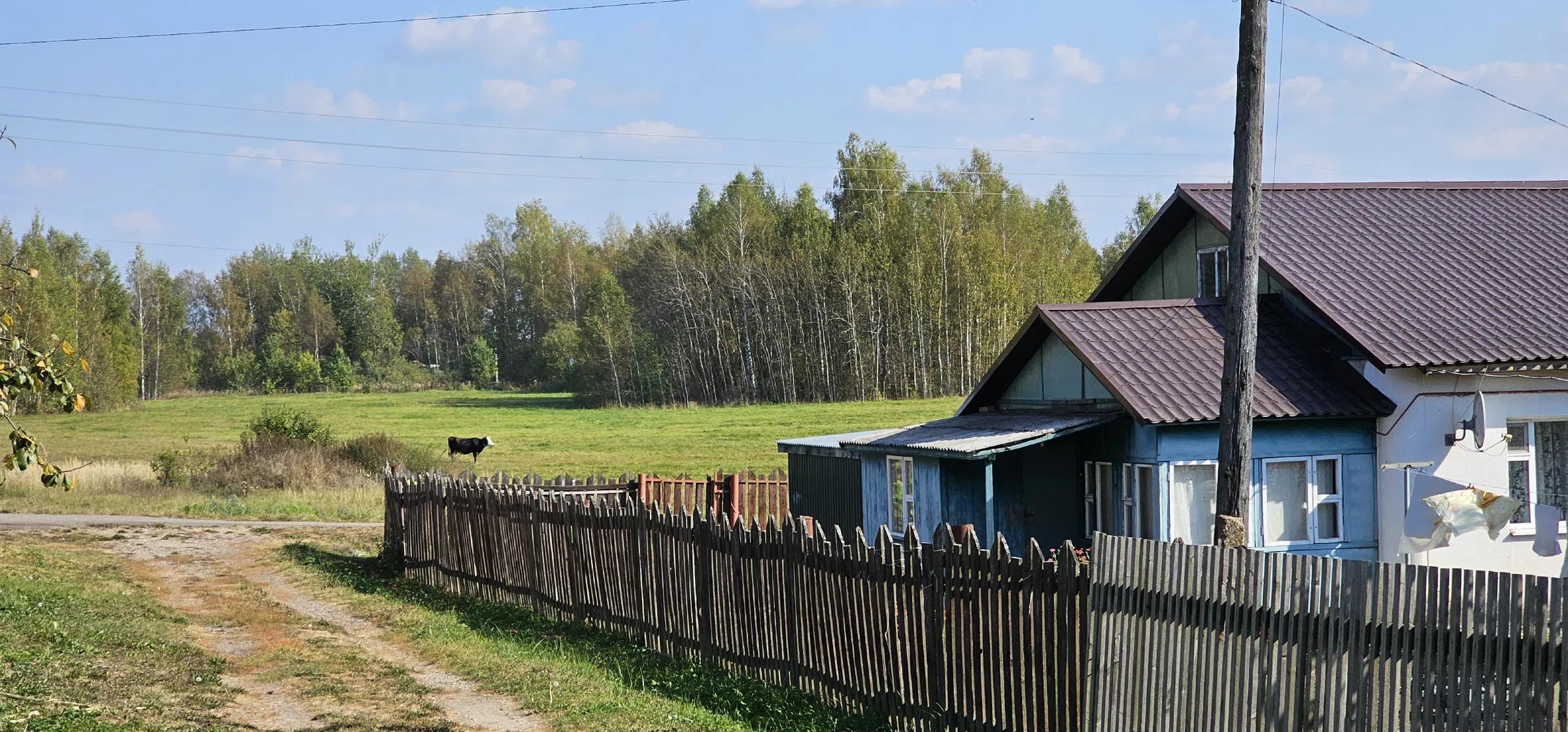 Ряд старых заборов, фото 4