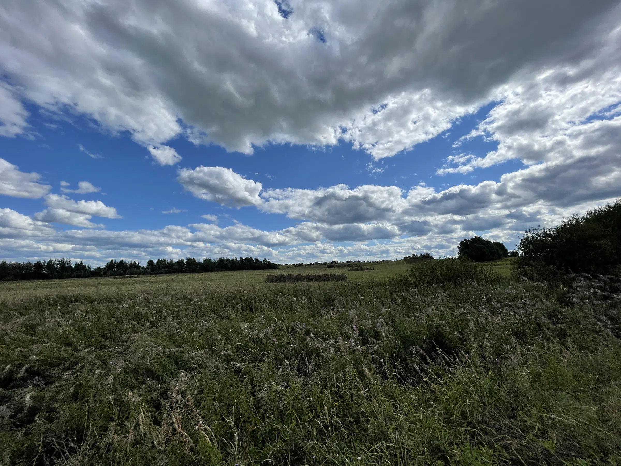 Церковь с шатровой колокольней, фото 3