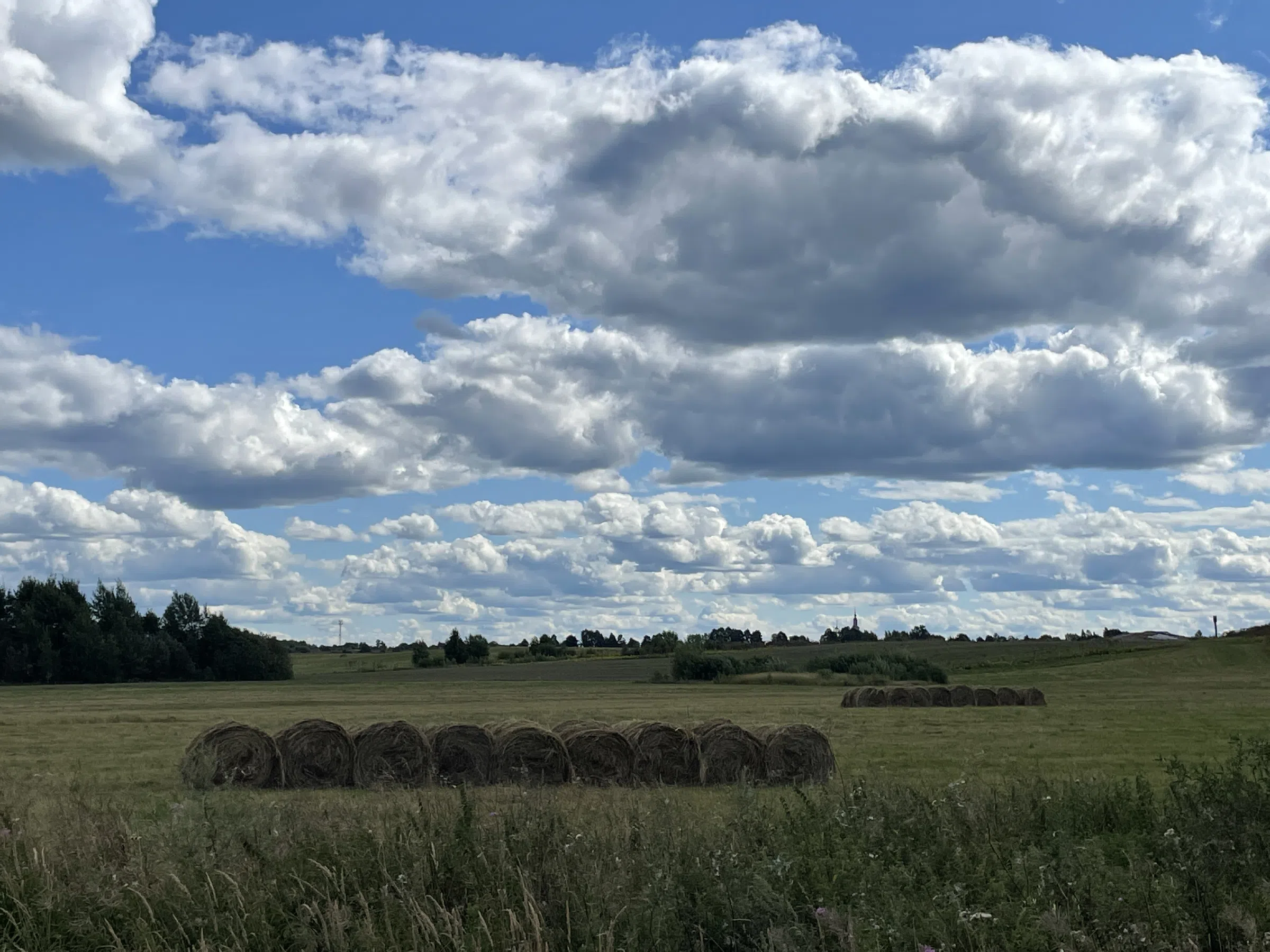 Церковь с шатровой колокольней, фото 4