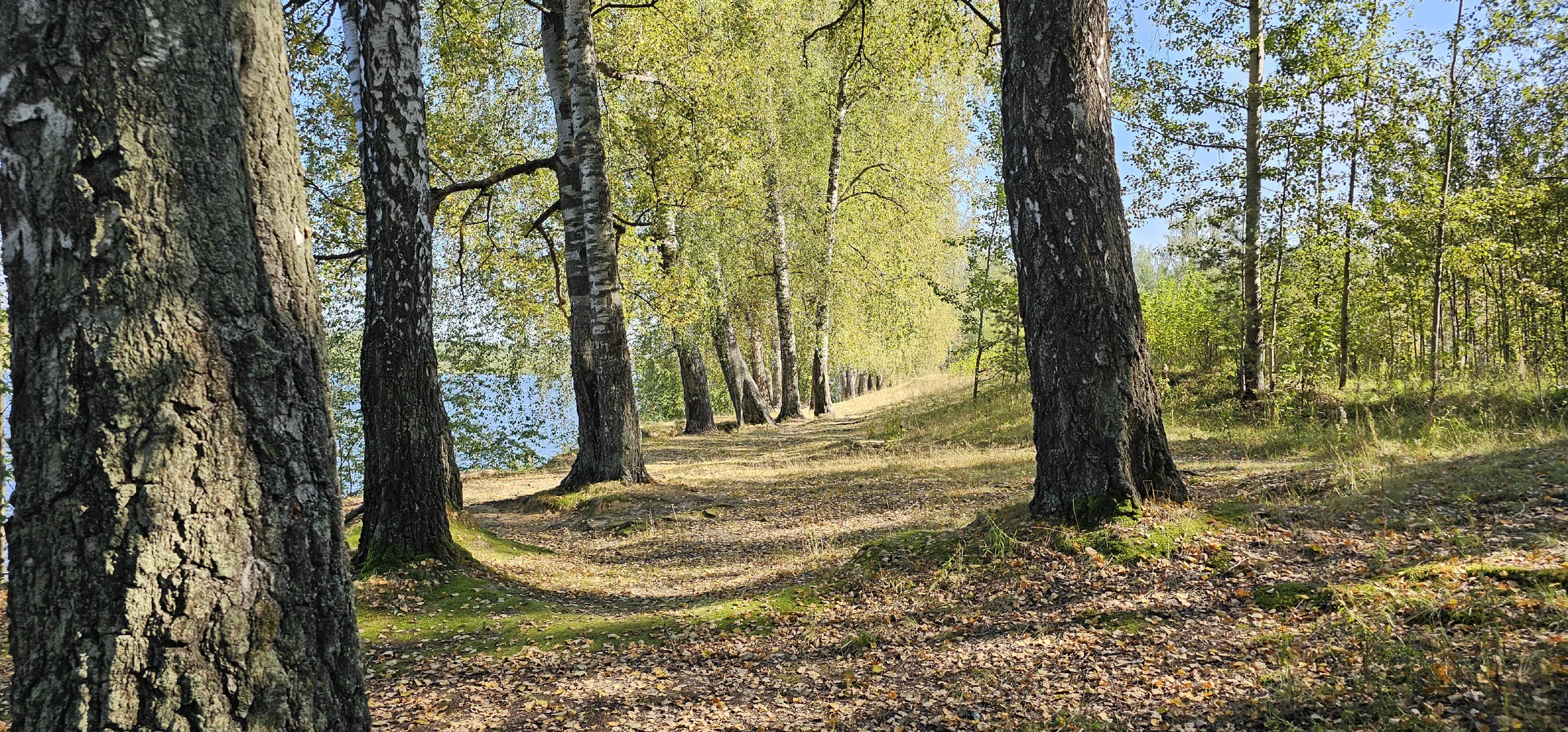 Ресторан с классическим интерьером, фото 17
