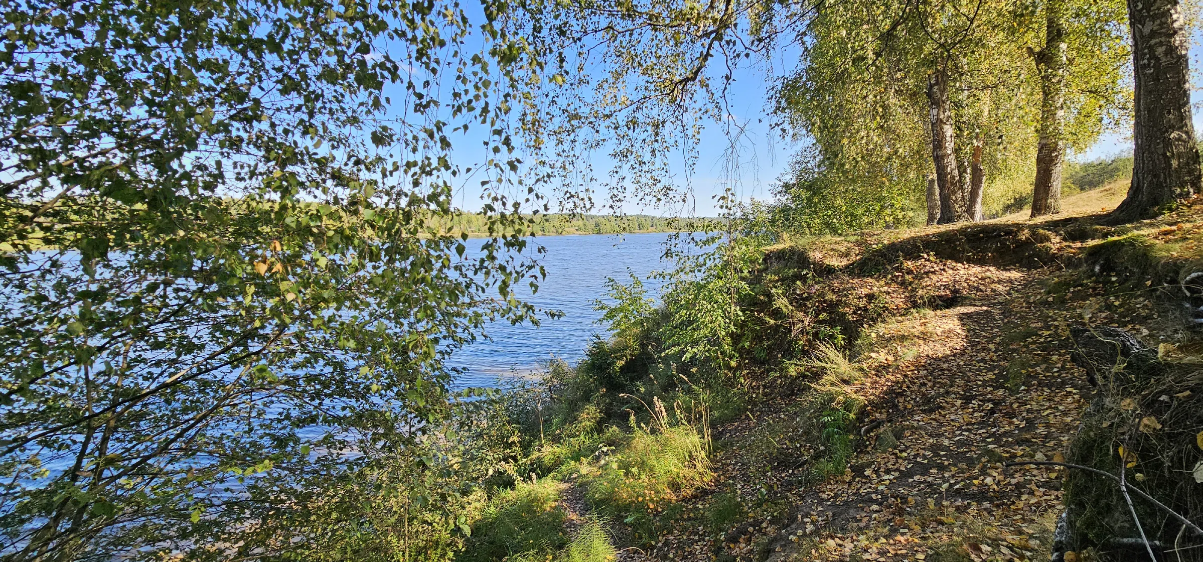 Ресторан с классическим интерьером, фото 19
