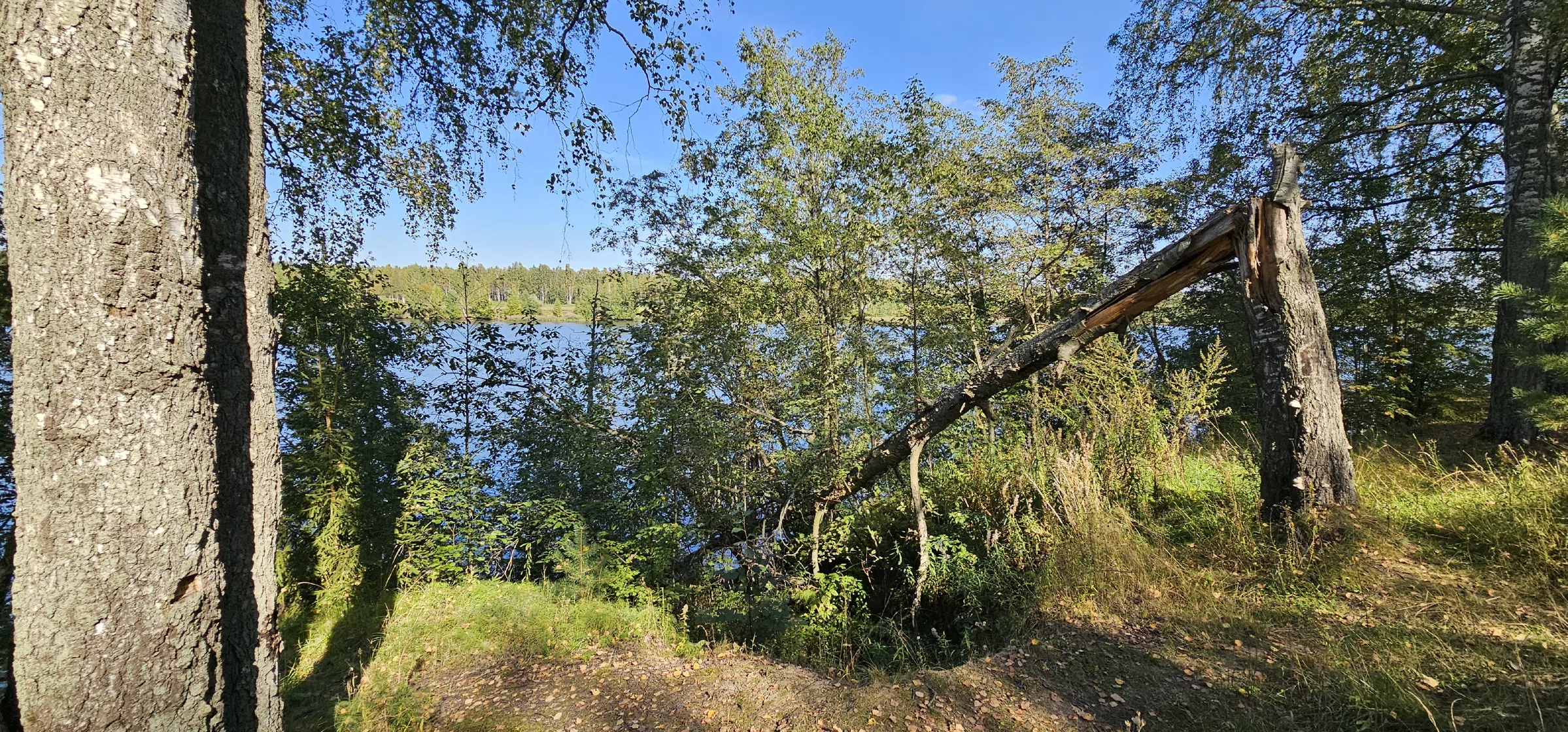Ресторан с классическим интерьером, фото 16