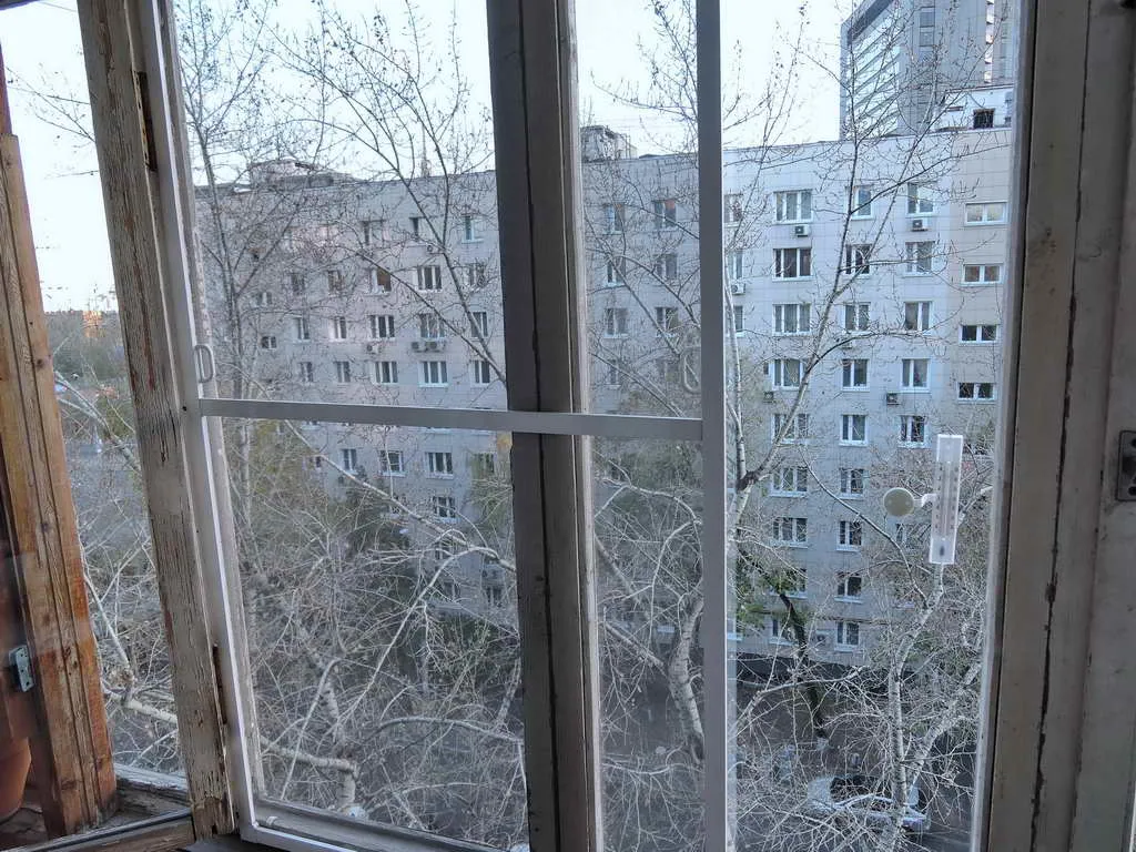 Этно-квартира с растениями, фото 17