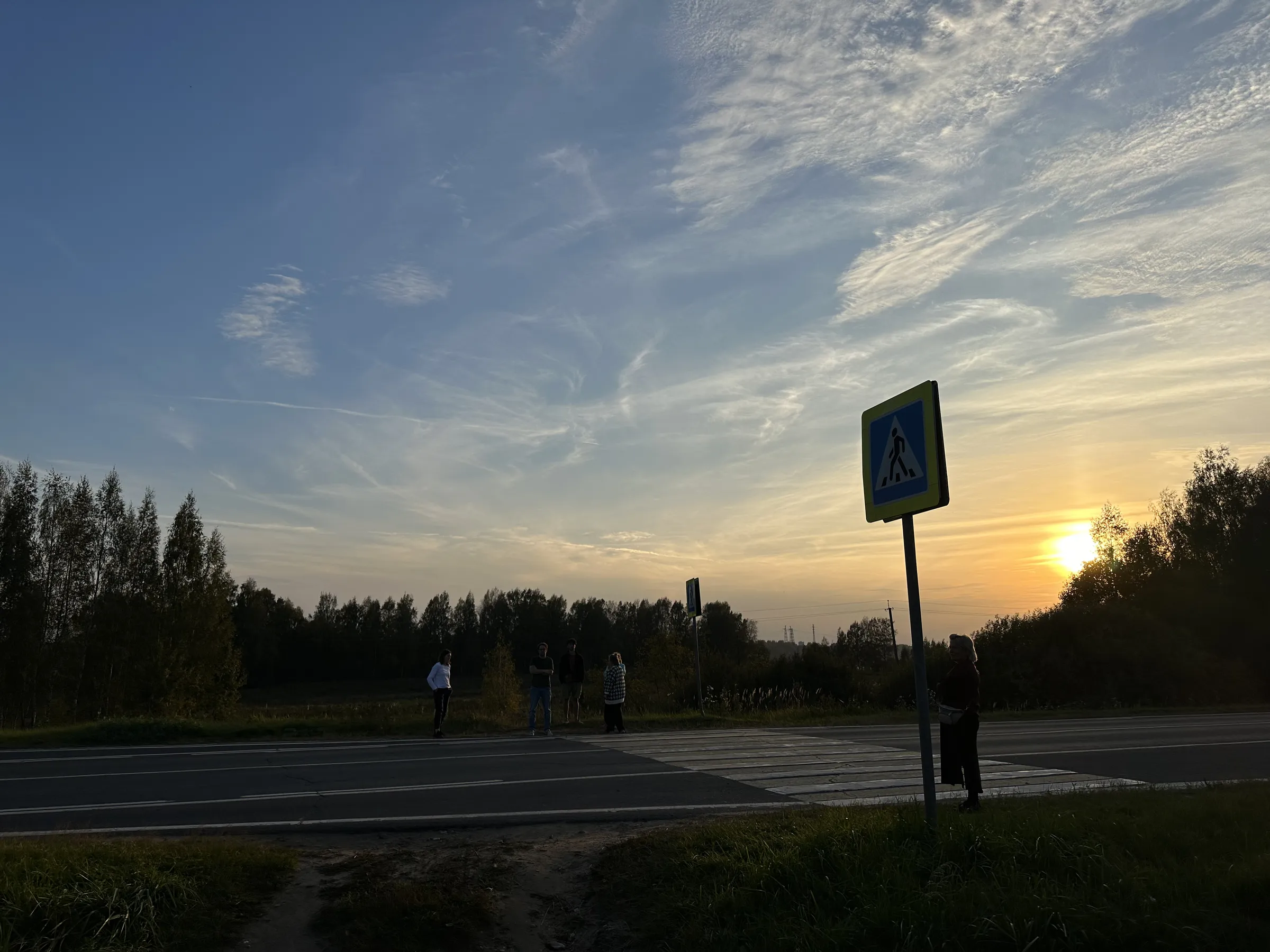Дорога через лес, фото 7