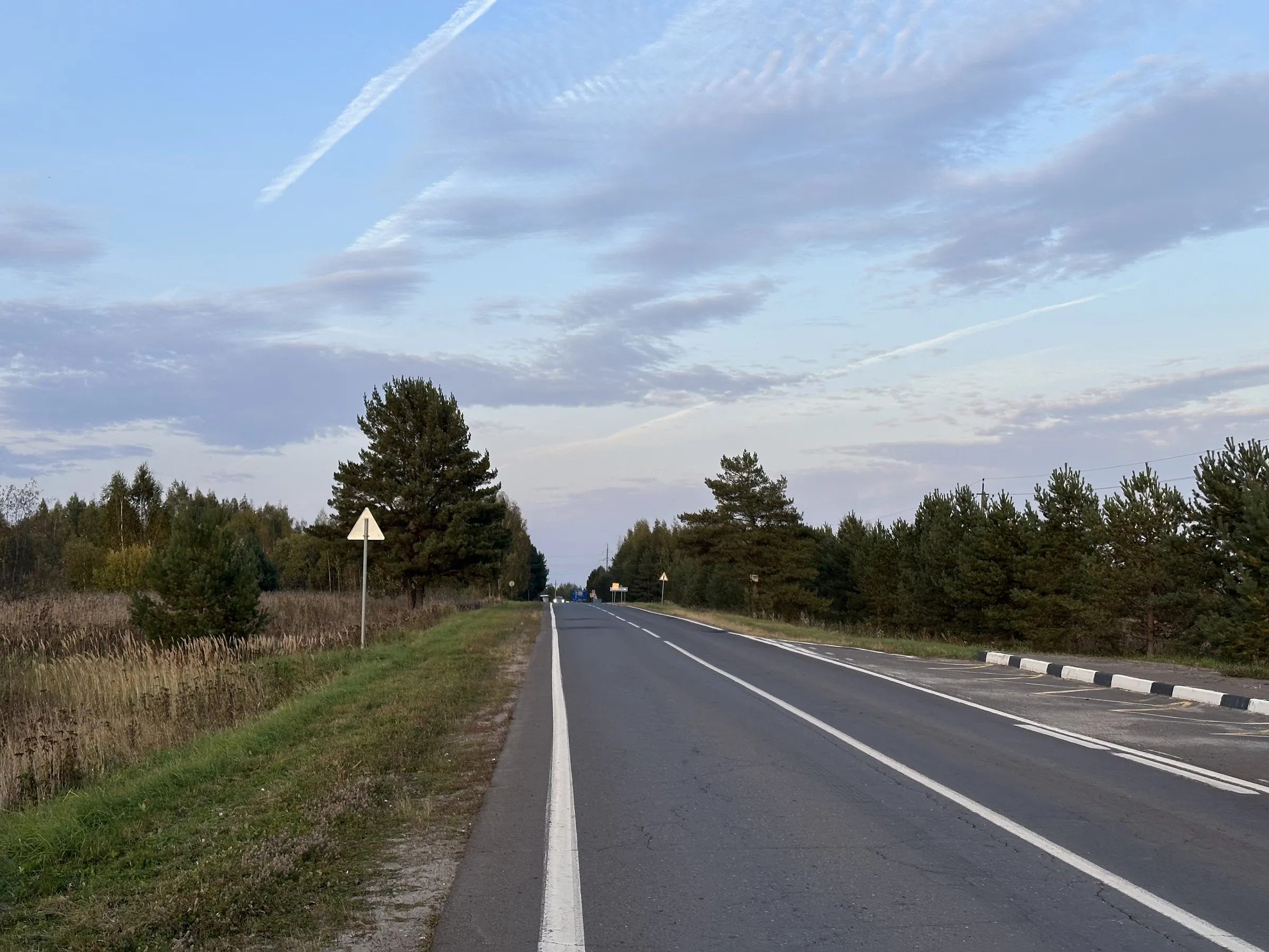 Дорога через лес, фото 10