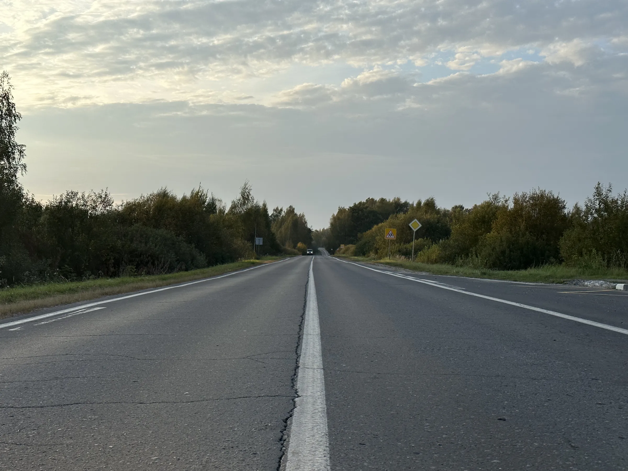 Дорога через лес, фото 4